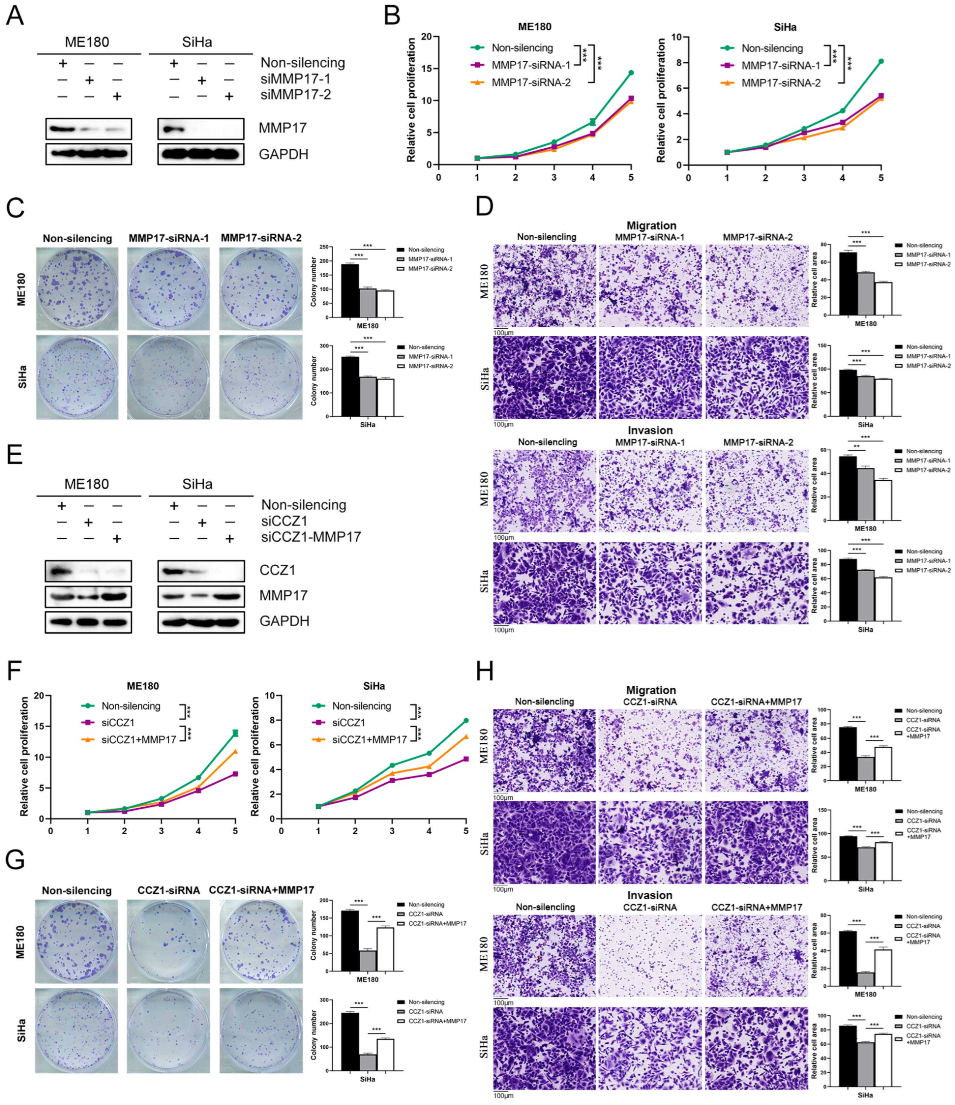 Biomedicines 12 01468 g008