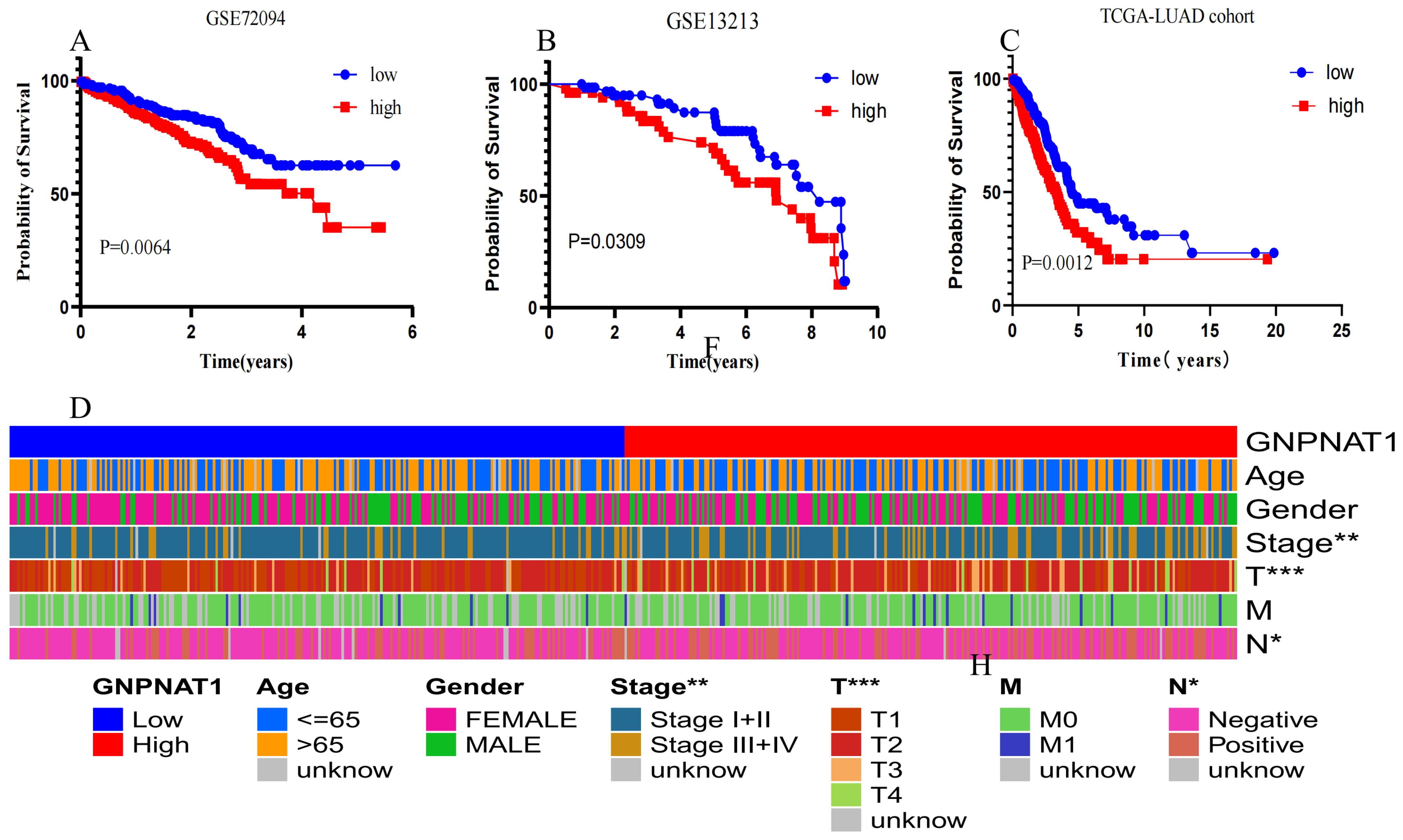 Biomedicines 12 01477 g002
