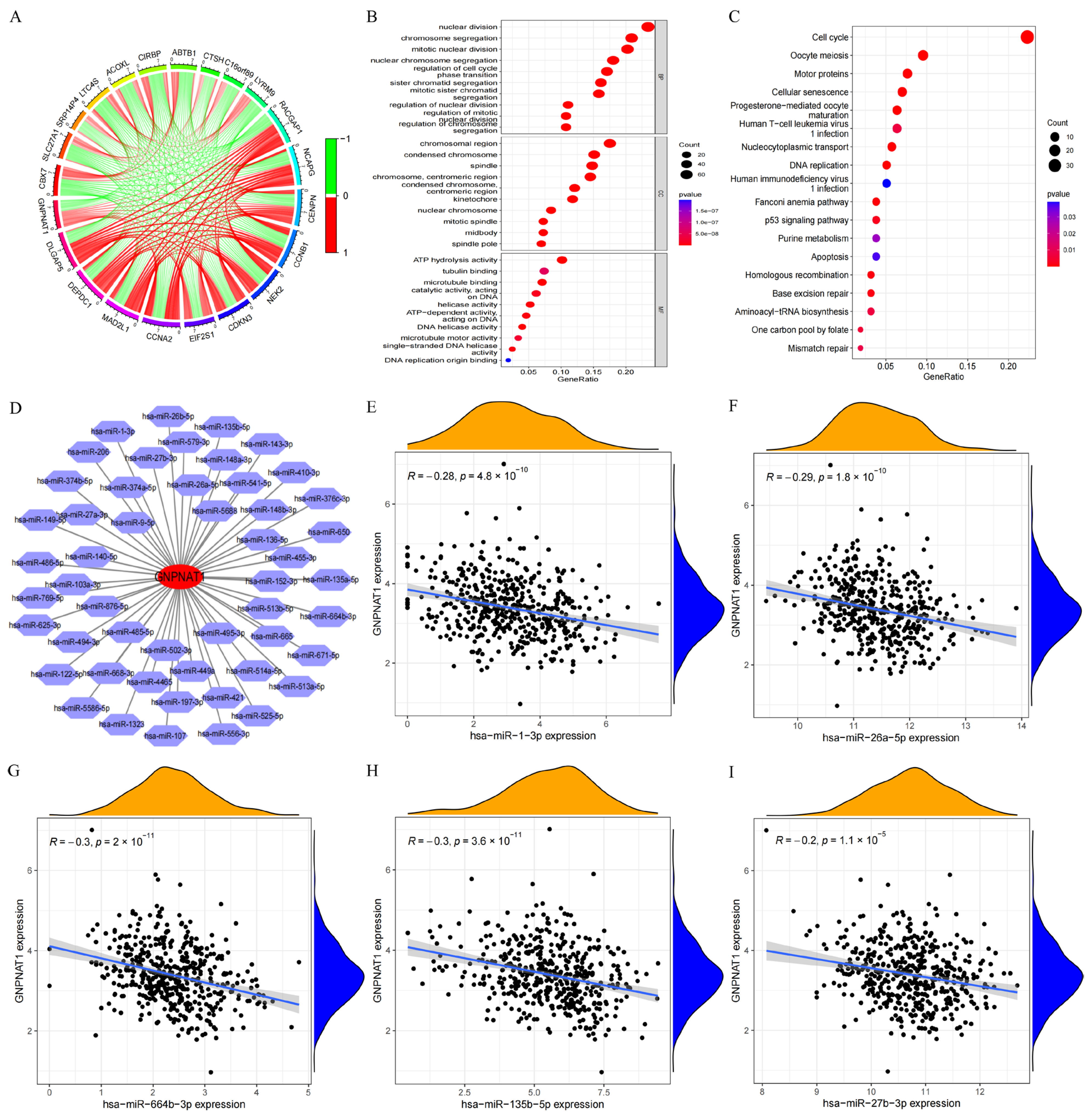 Biomedicines 12 01477 g004