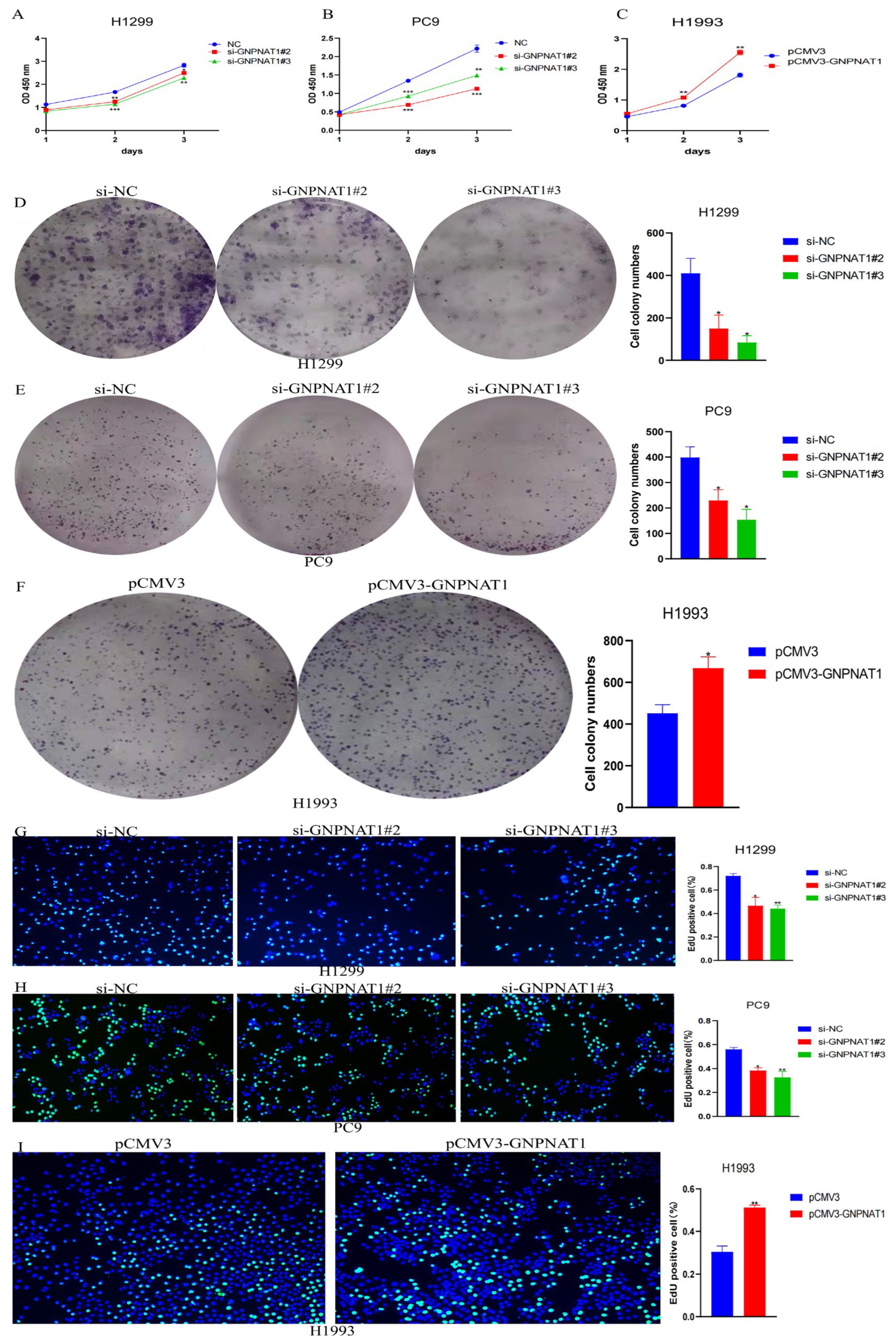 Biomedicines 12 01477 g010