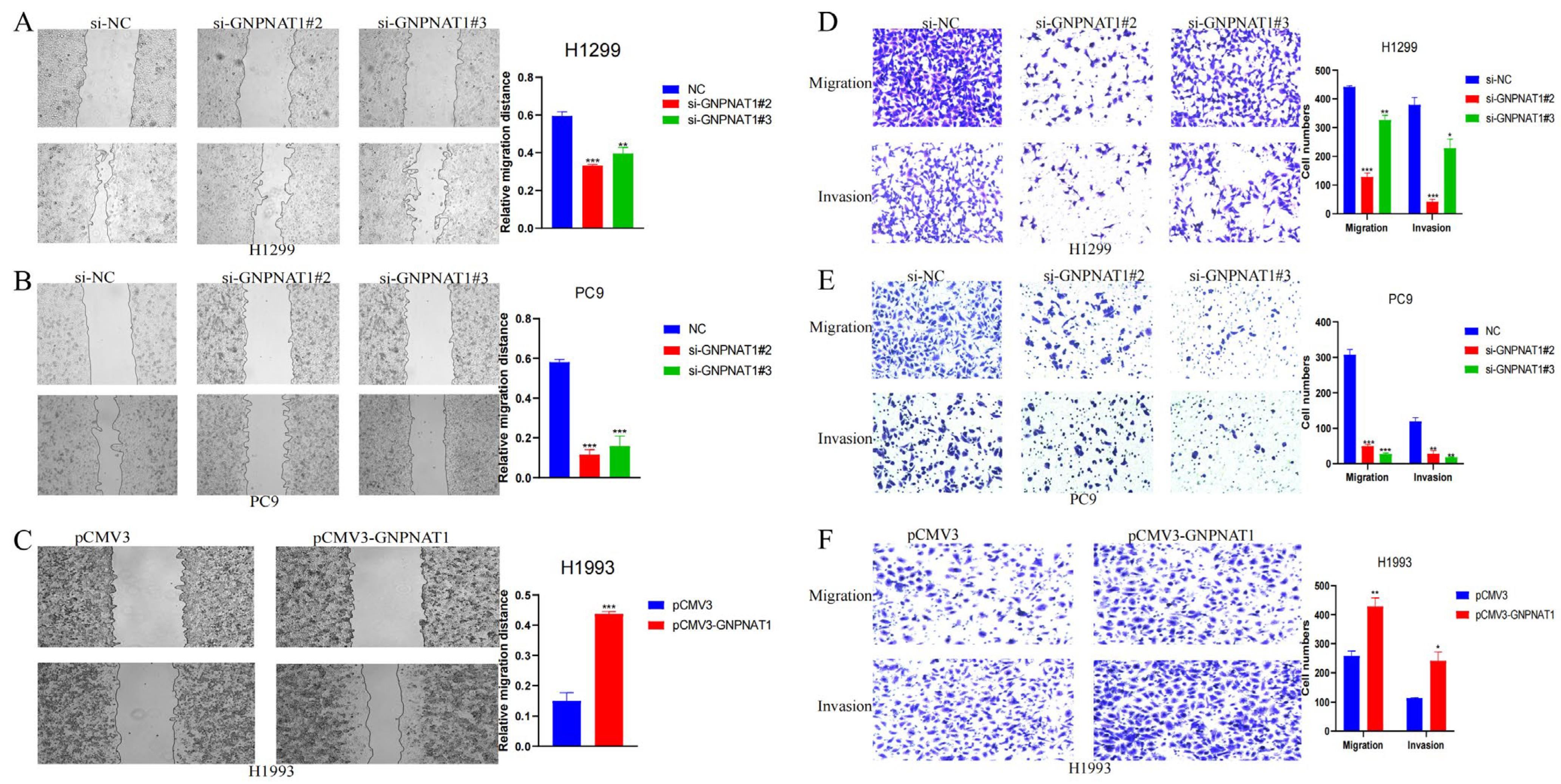 Biomedicines 12 01477 g011