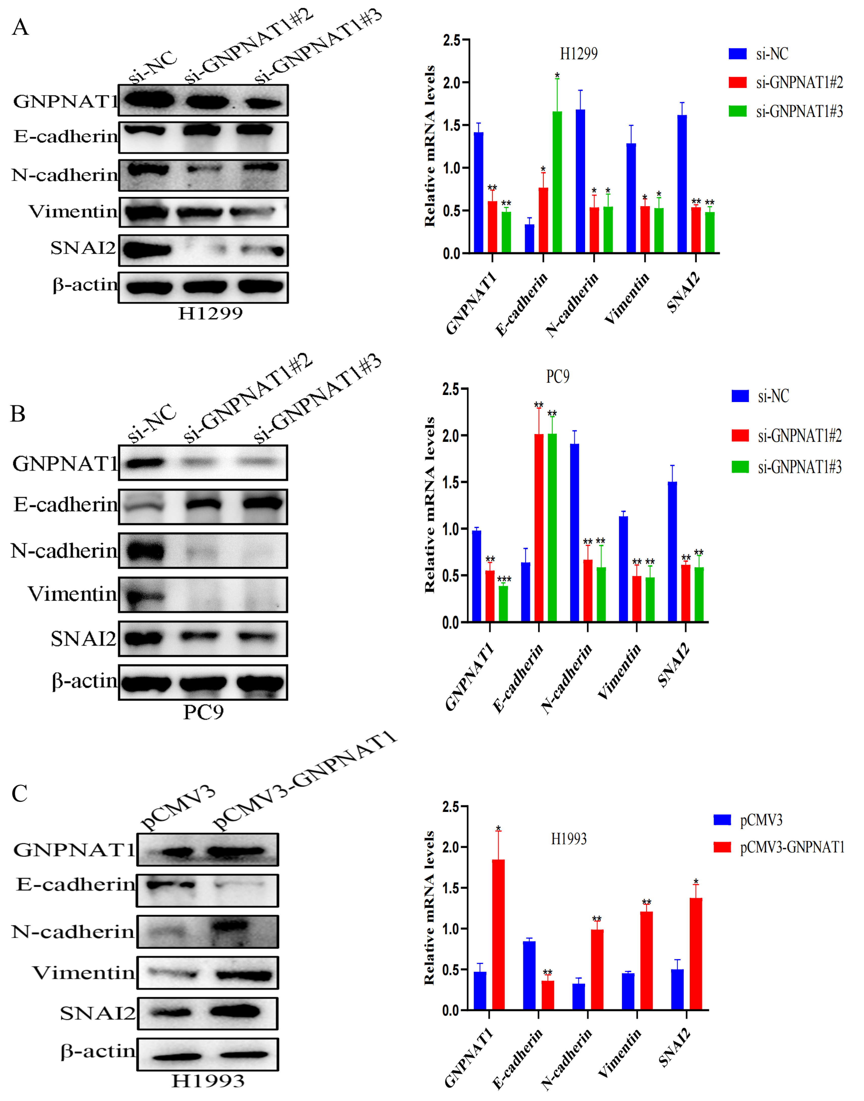 Biomedicines 12 01477 g013