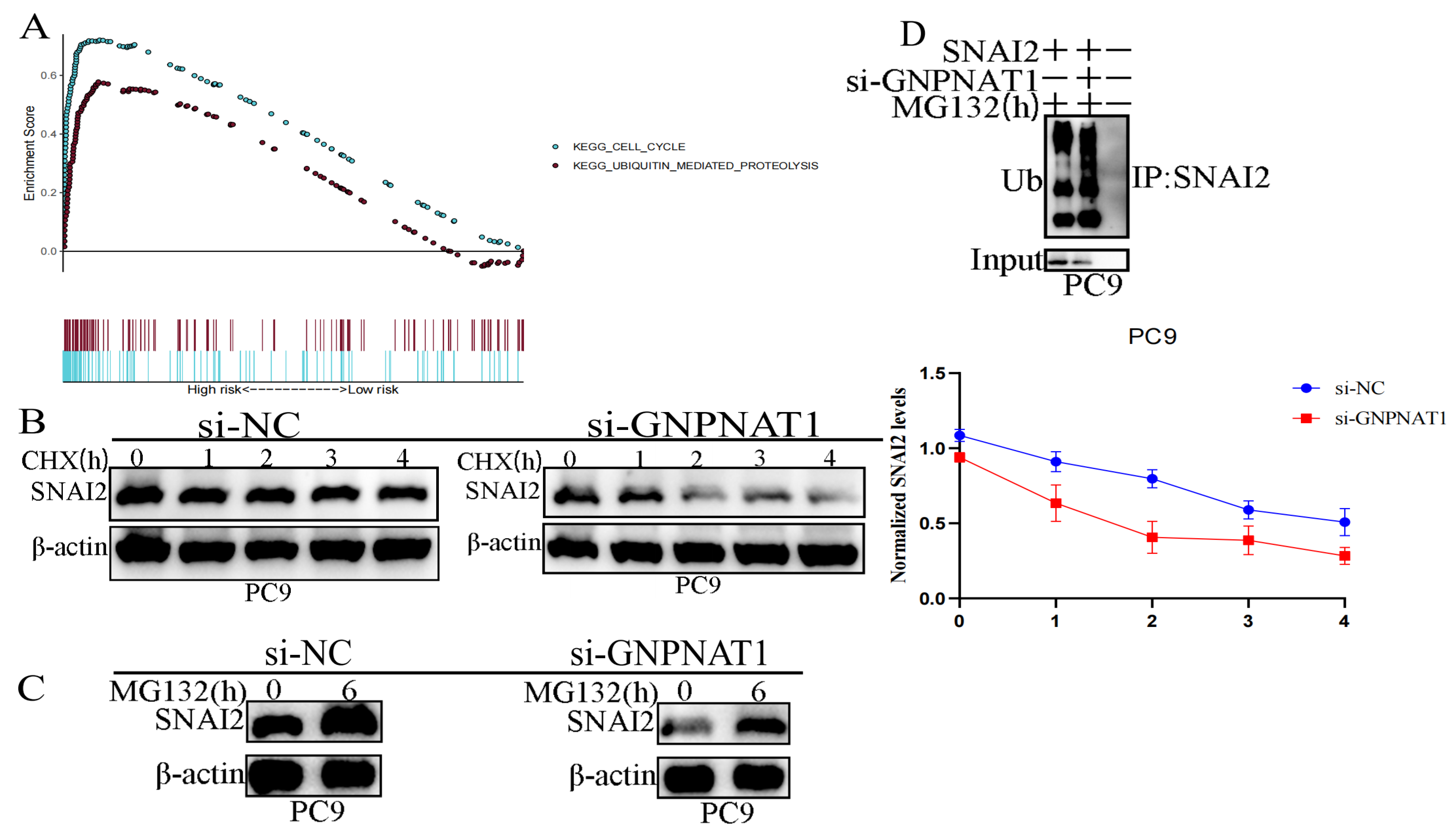 Biomedicines 12 01477 g015