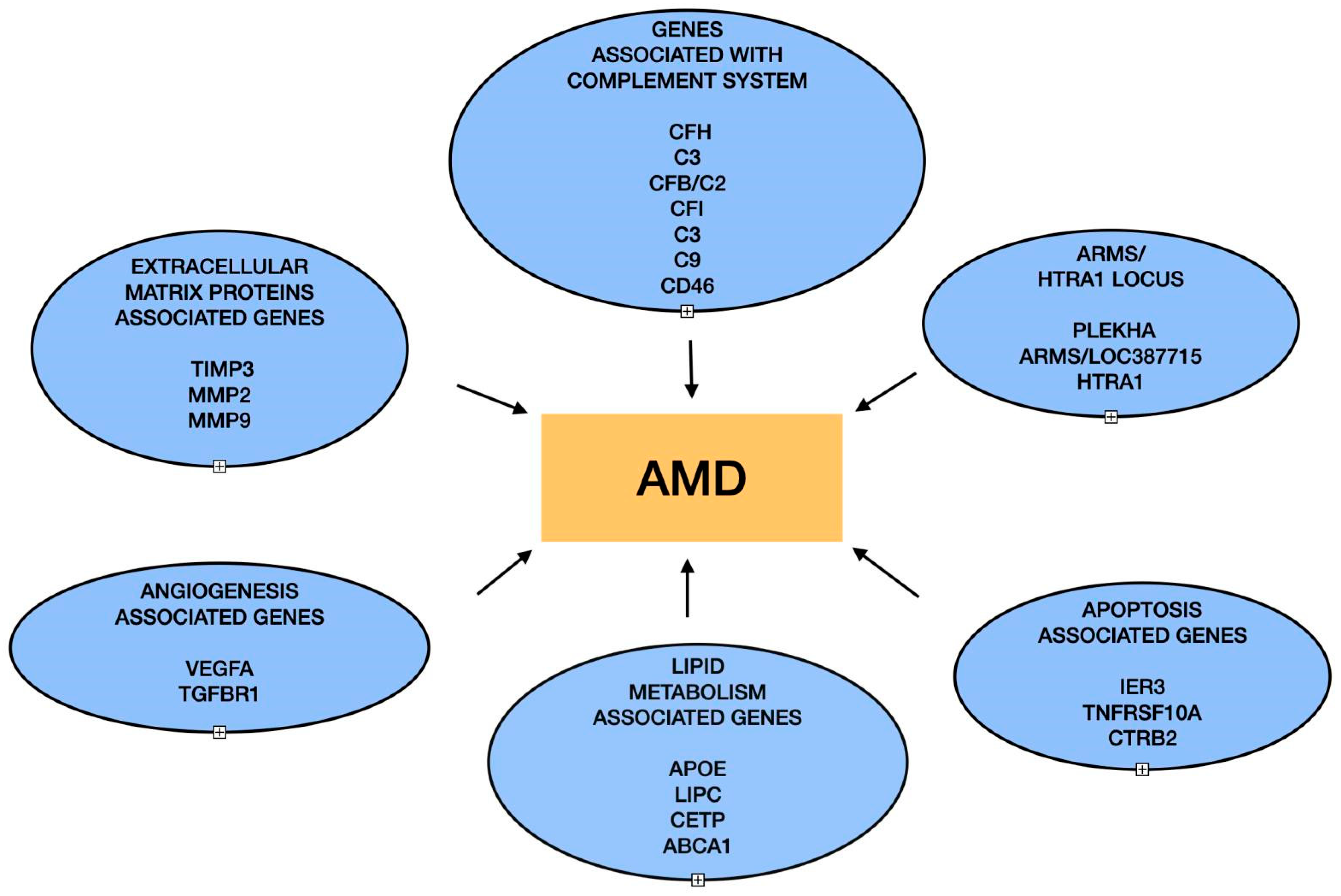 Biomedicines 12 01479 g002