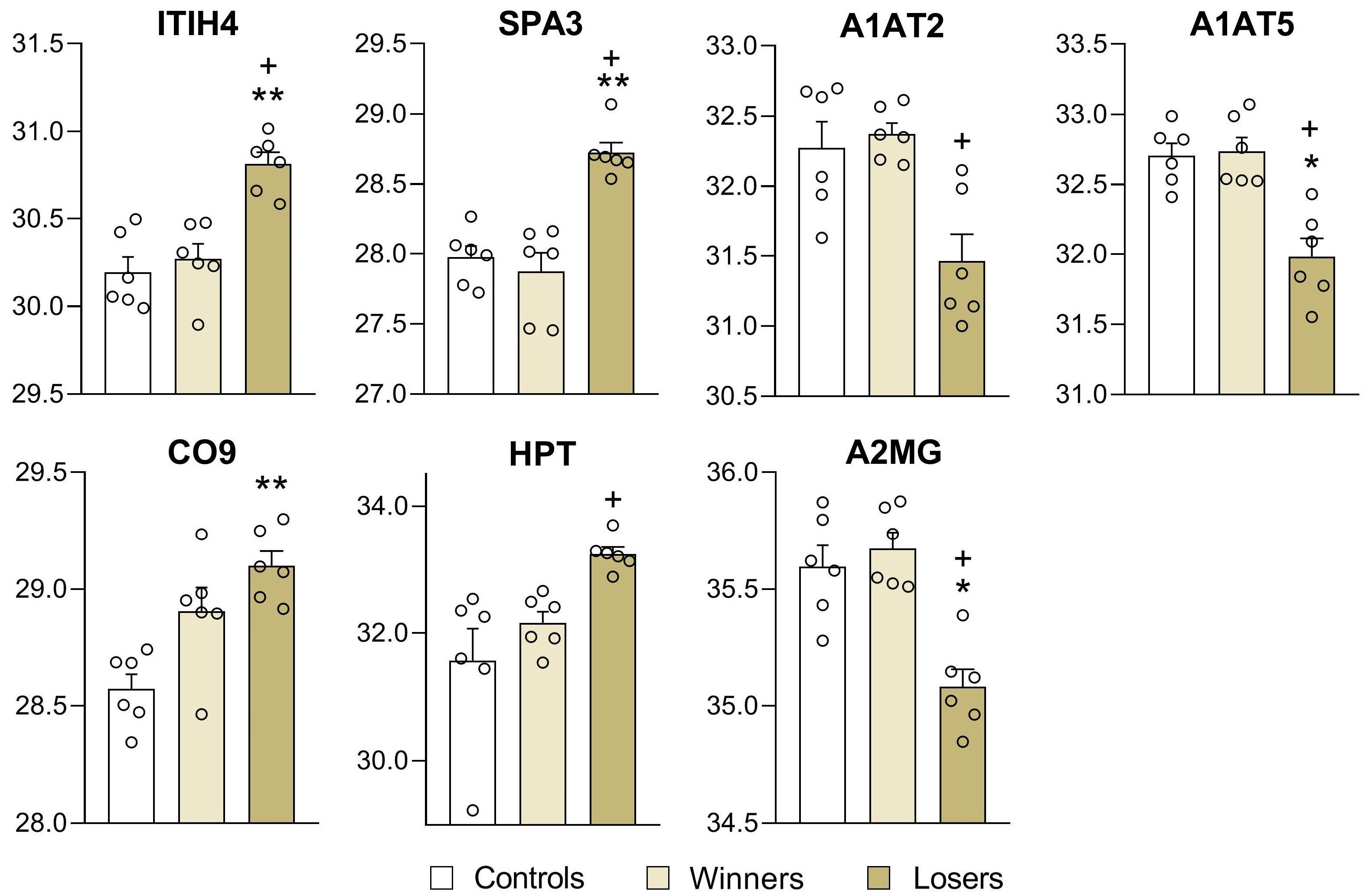 Biomedicines 12 01485 g006