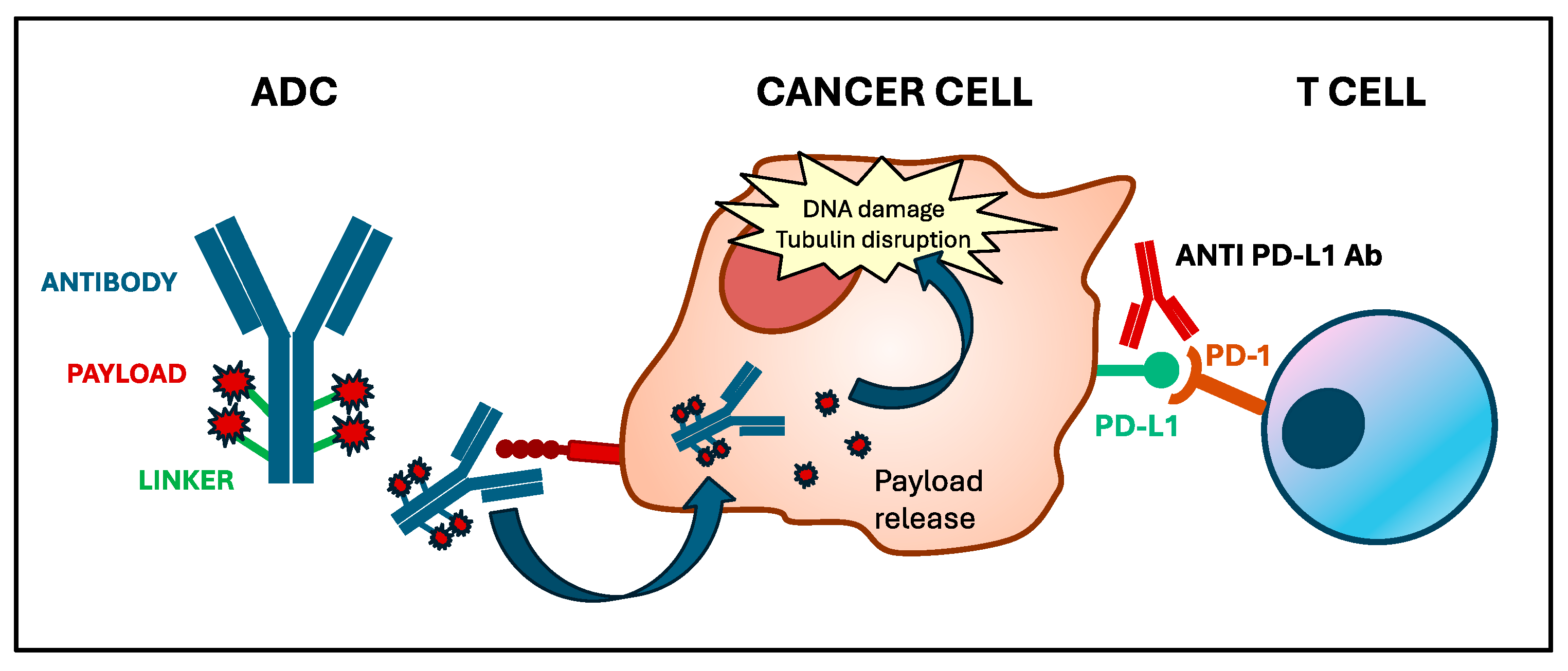 Biomedicines 12 01491 g001