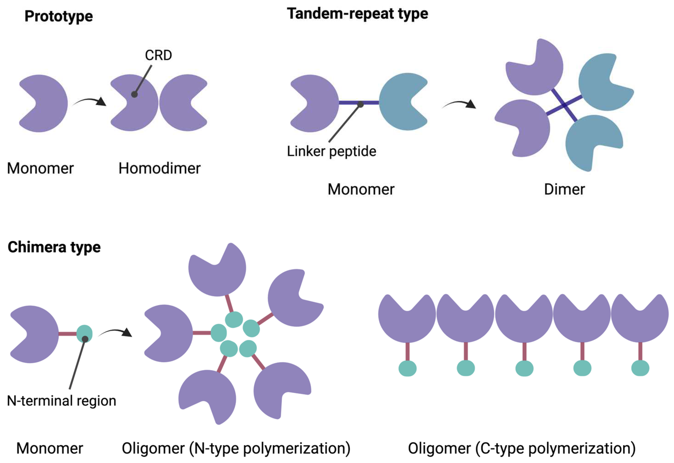 Biomedicines 12 01508 g001