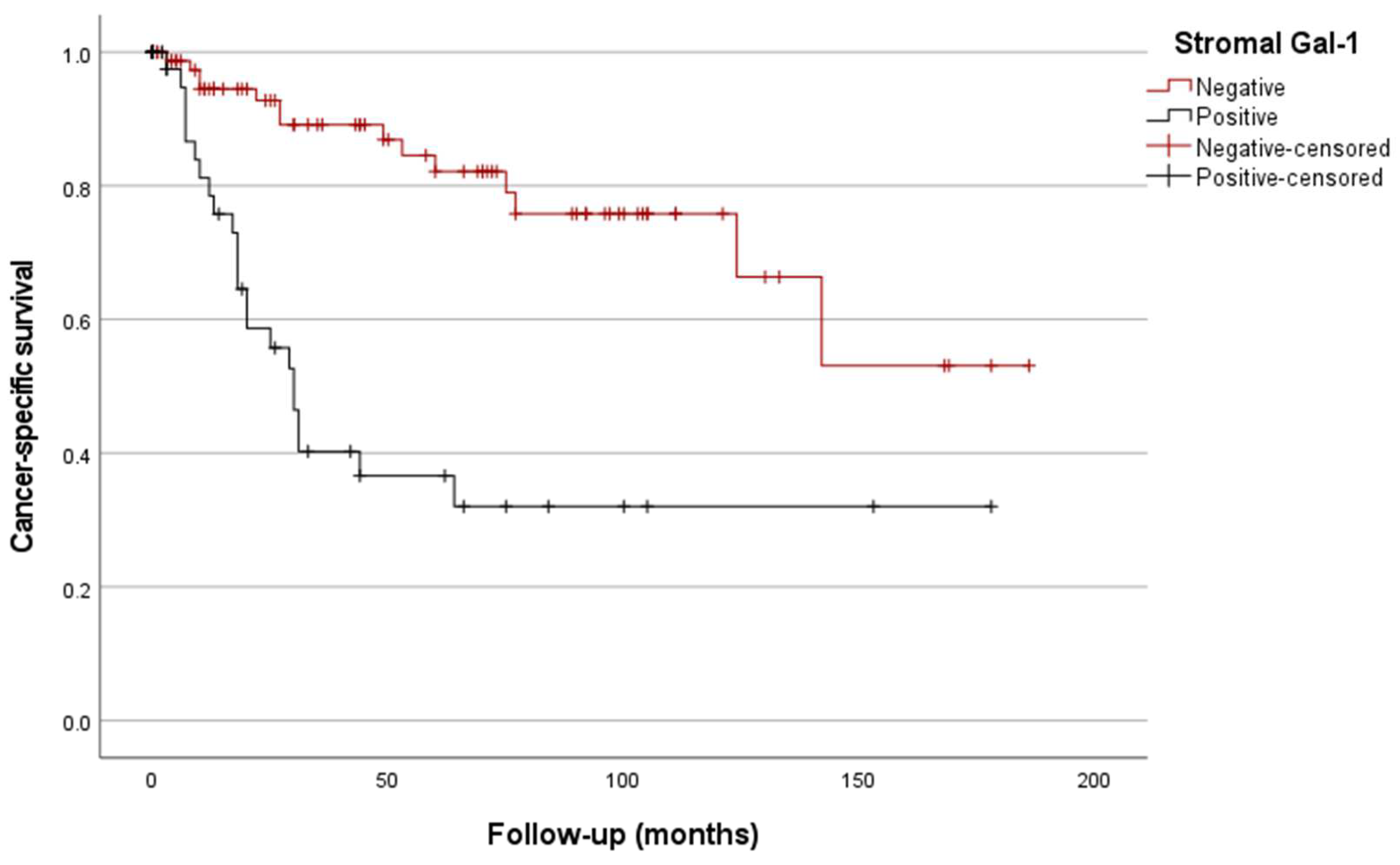 Biomedicines 12 01508 g004