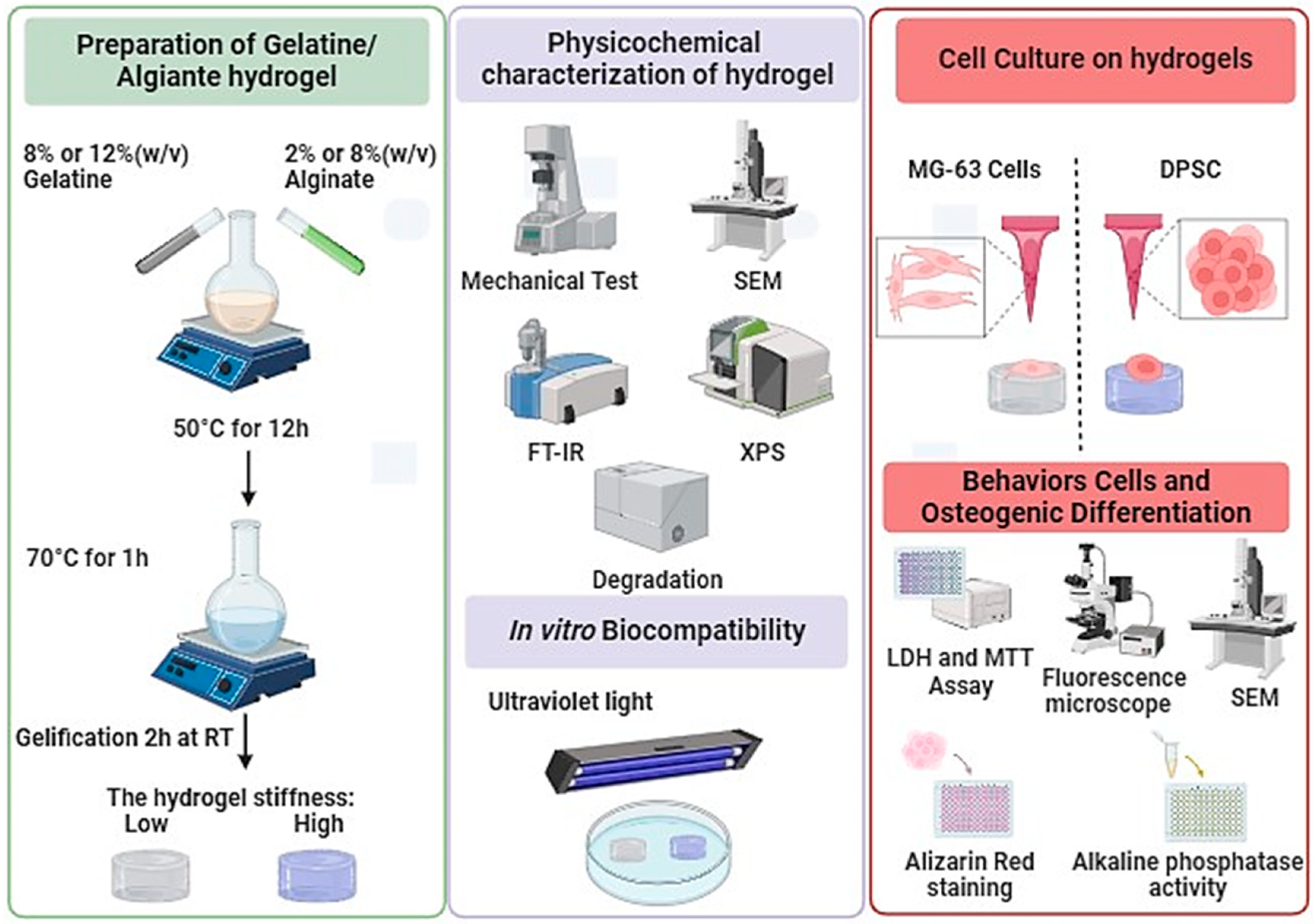 Biomedicines 12 01510 g001
