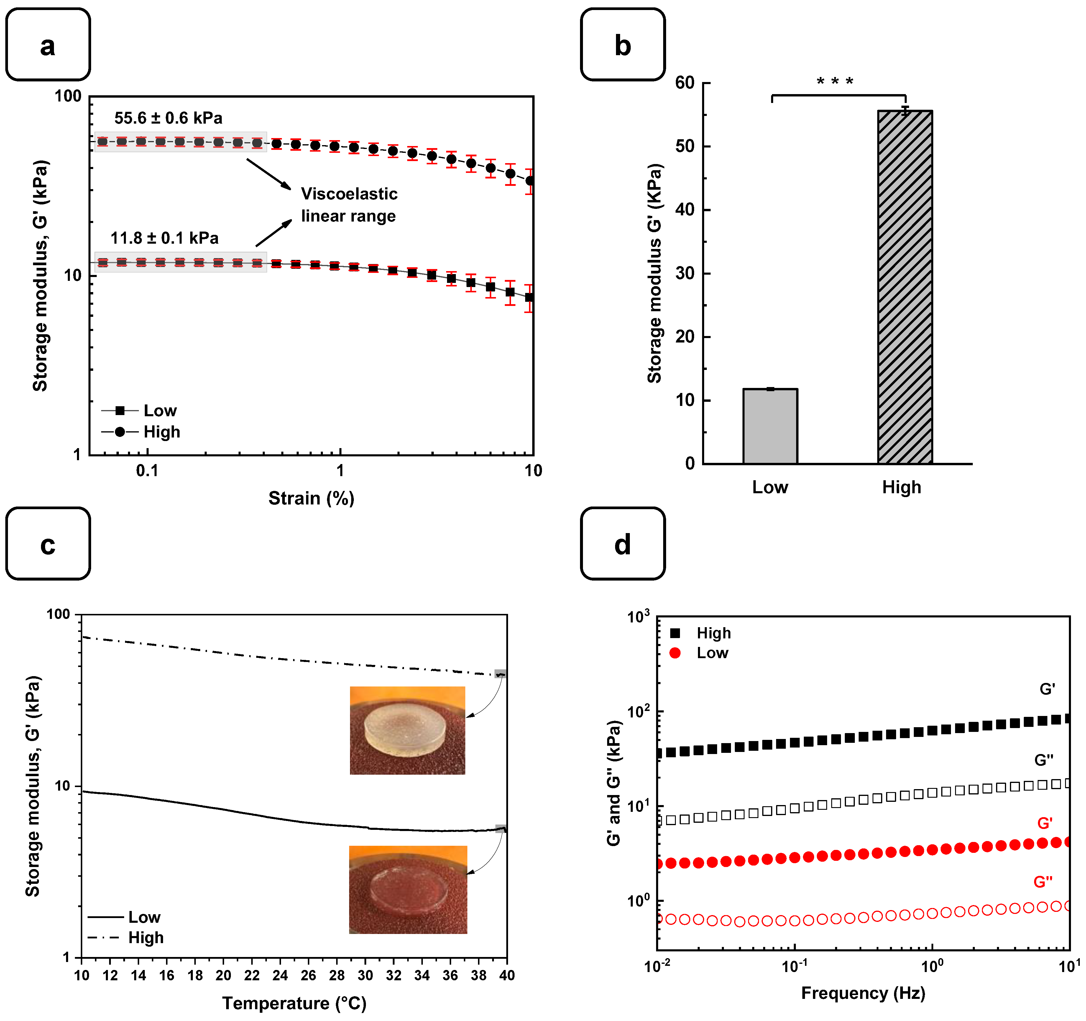 Biomedicines 12 01510 g003