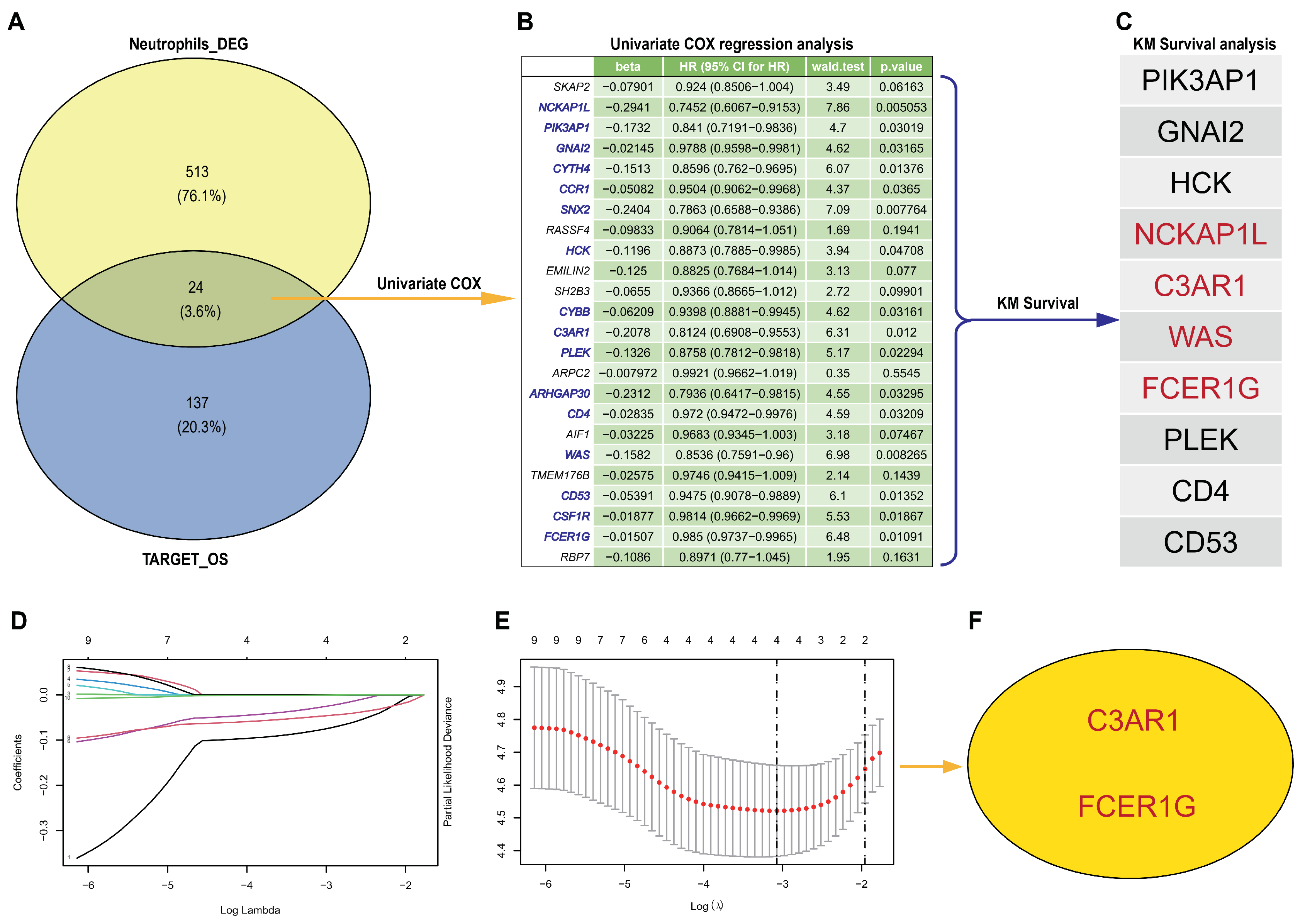 Biomedicines 12 01513 g003