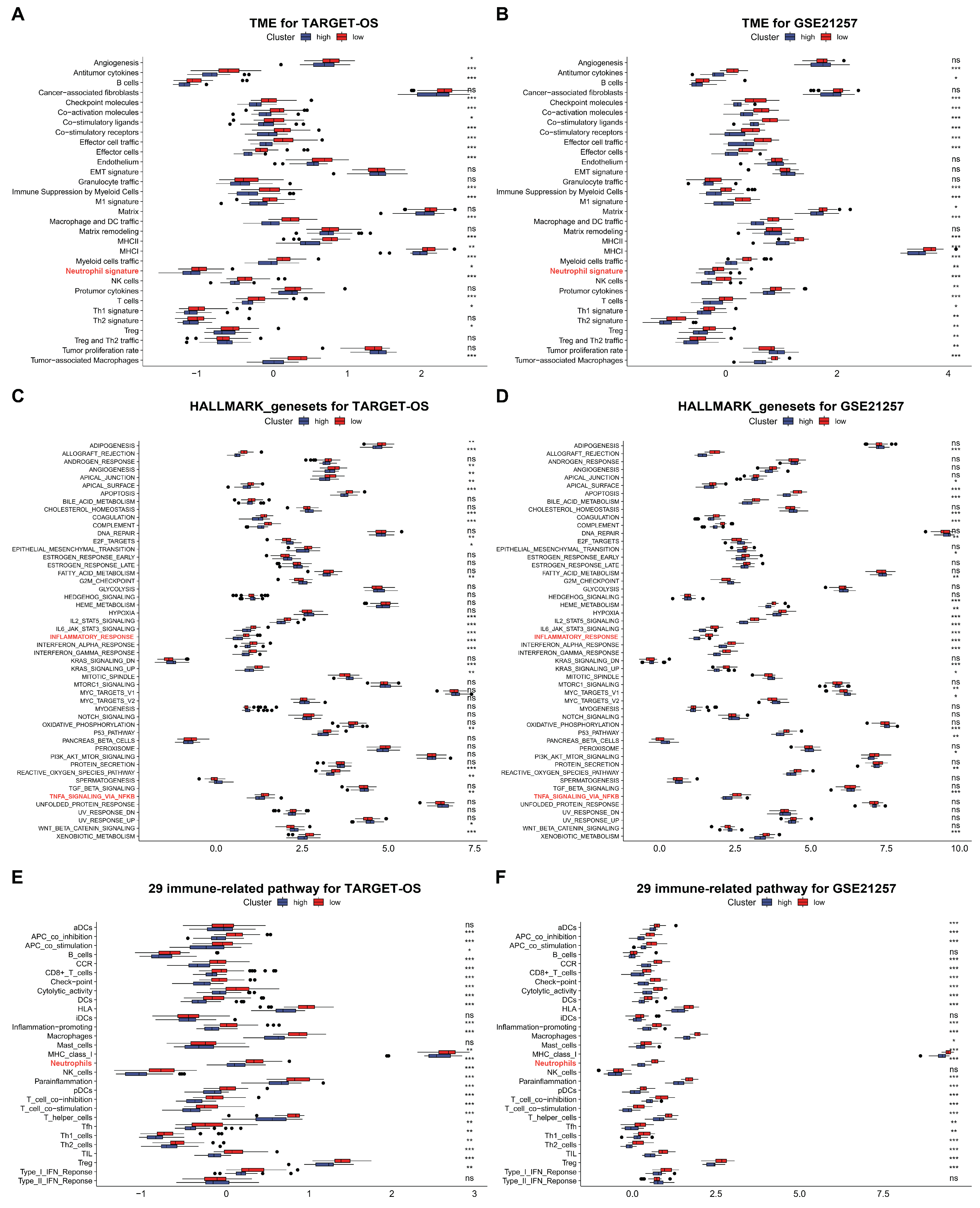 Biomedicines 12 01513 g006