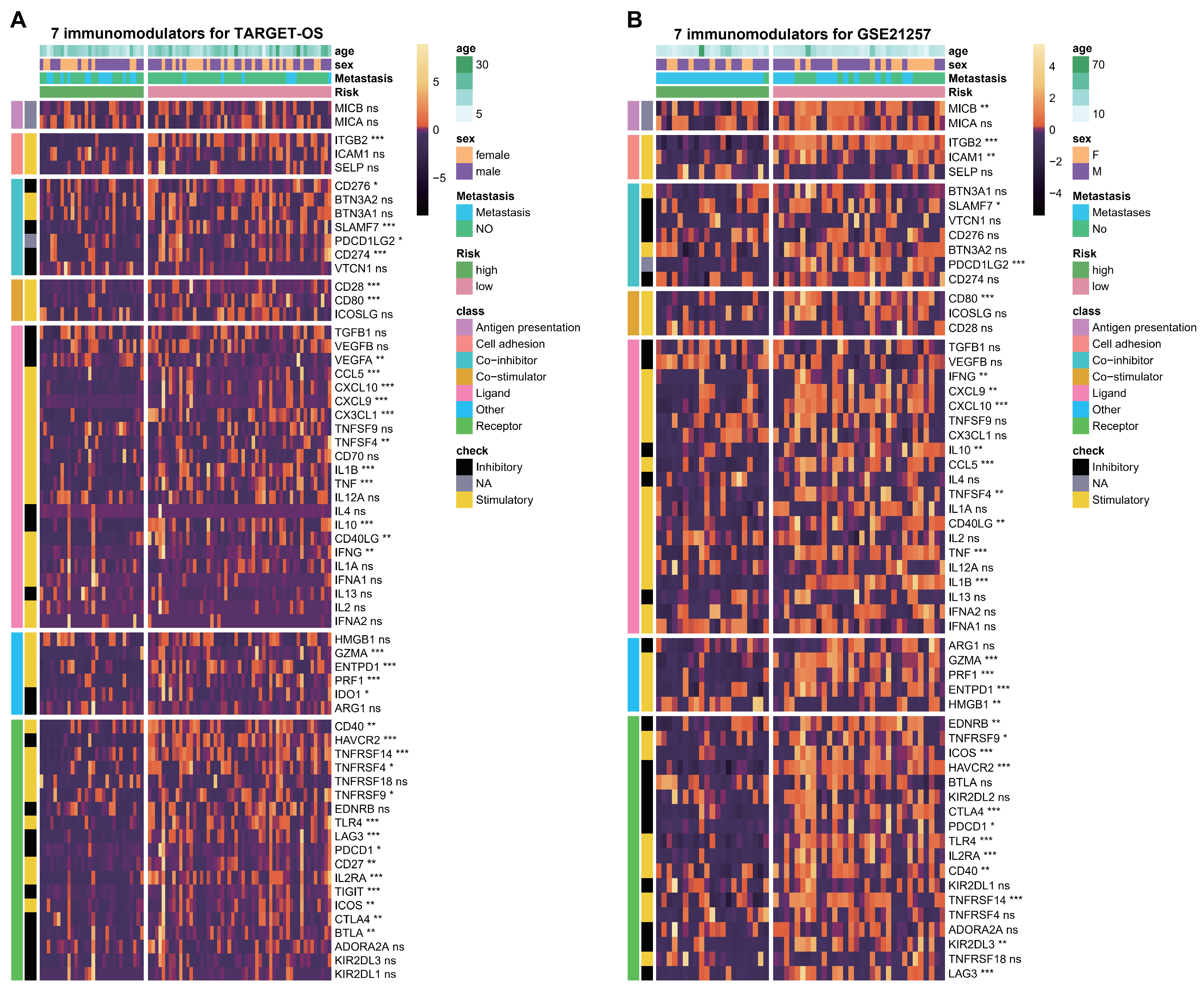 Biomedicines 12 01513 g008