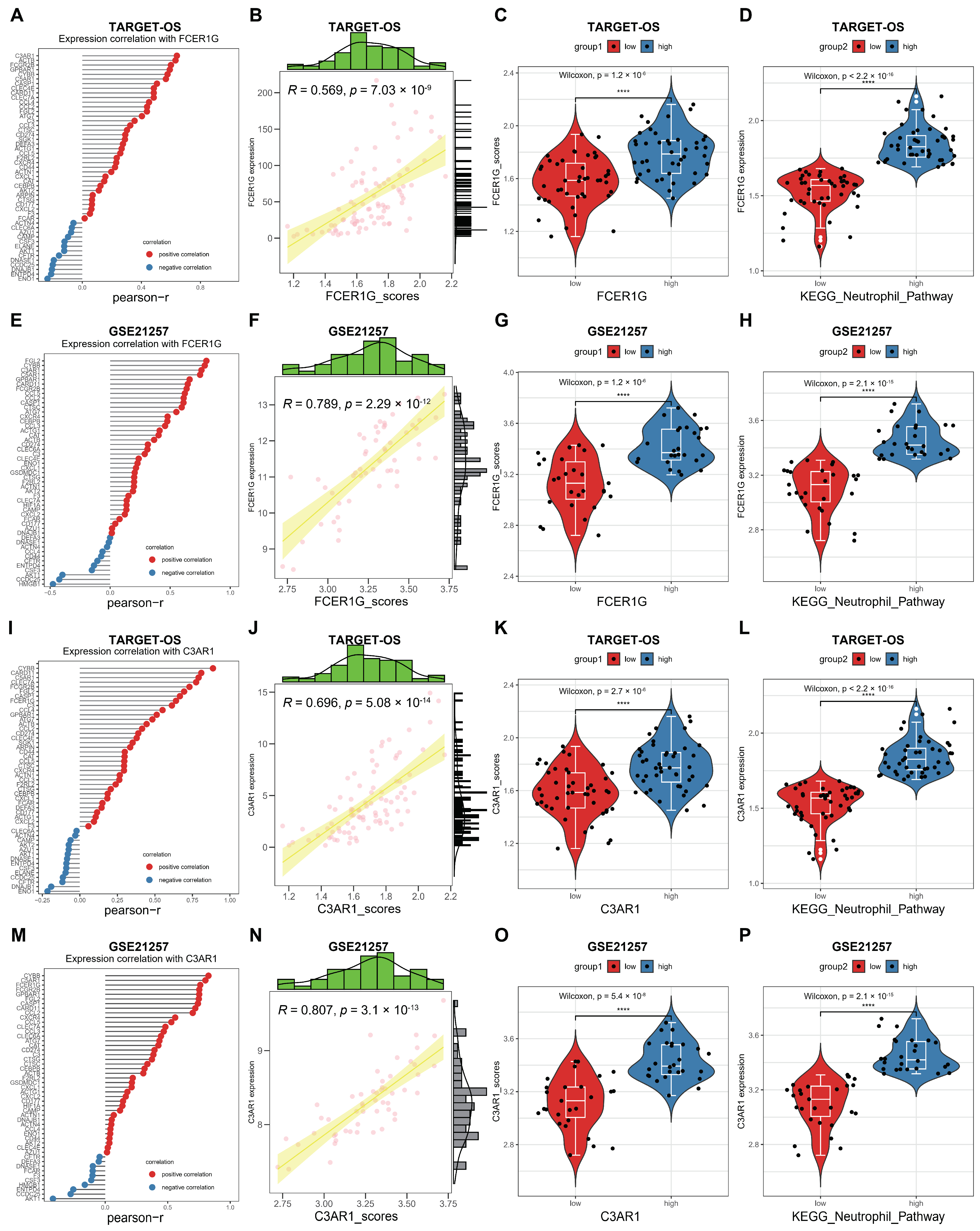 Biomedicines 12 01513 g009