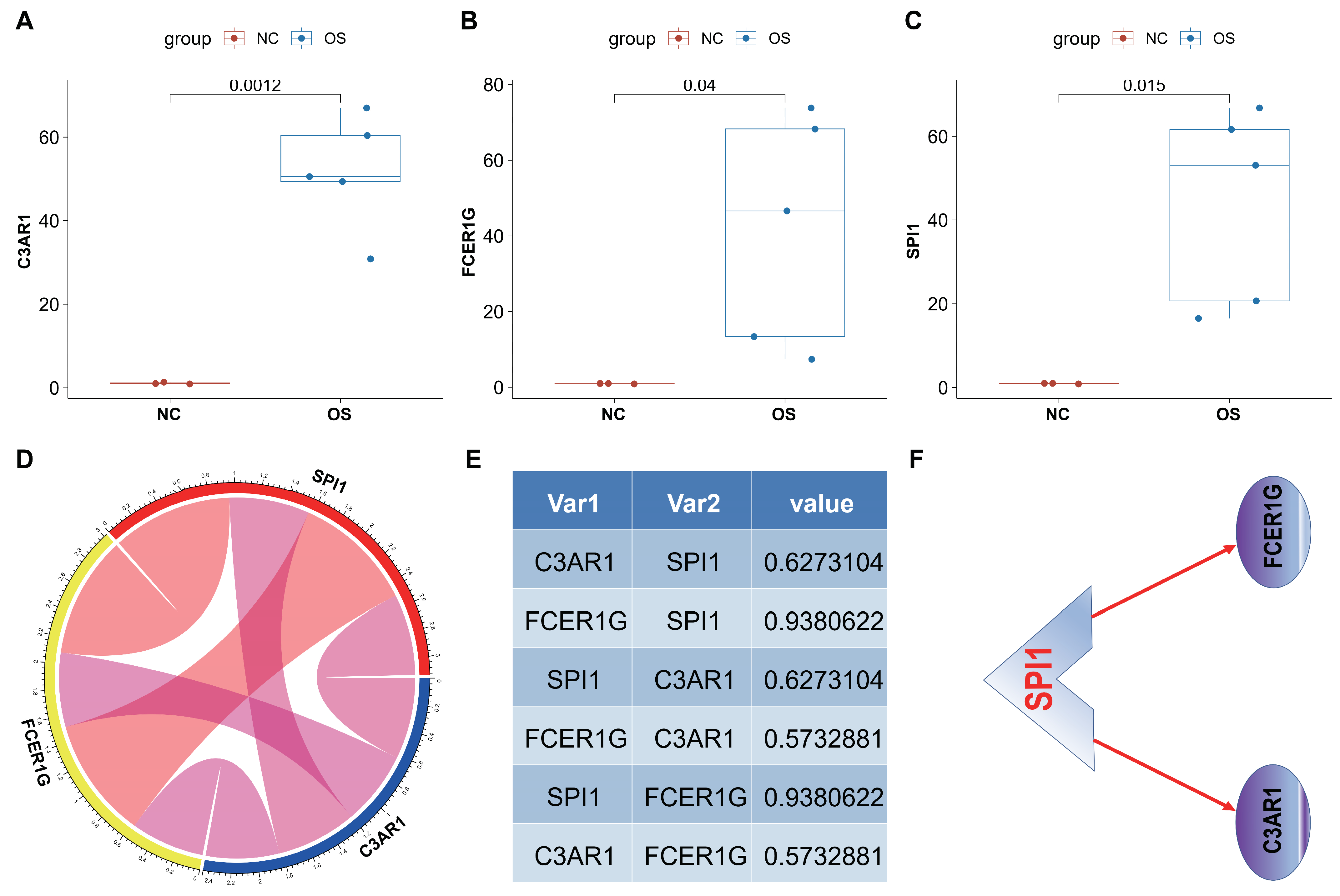 Biomedicines 12 01513 g011