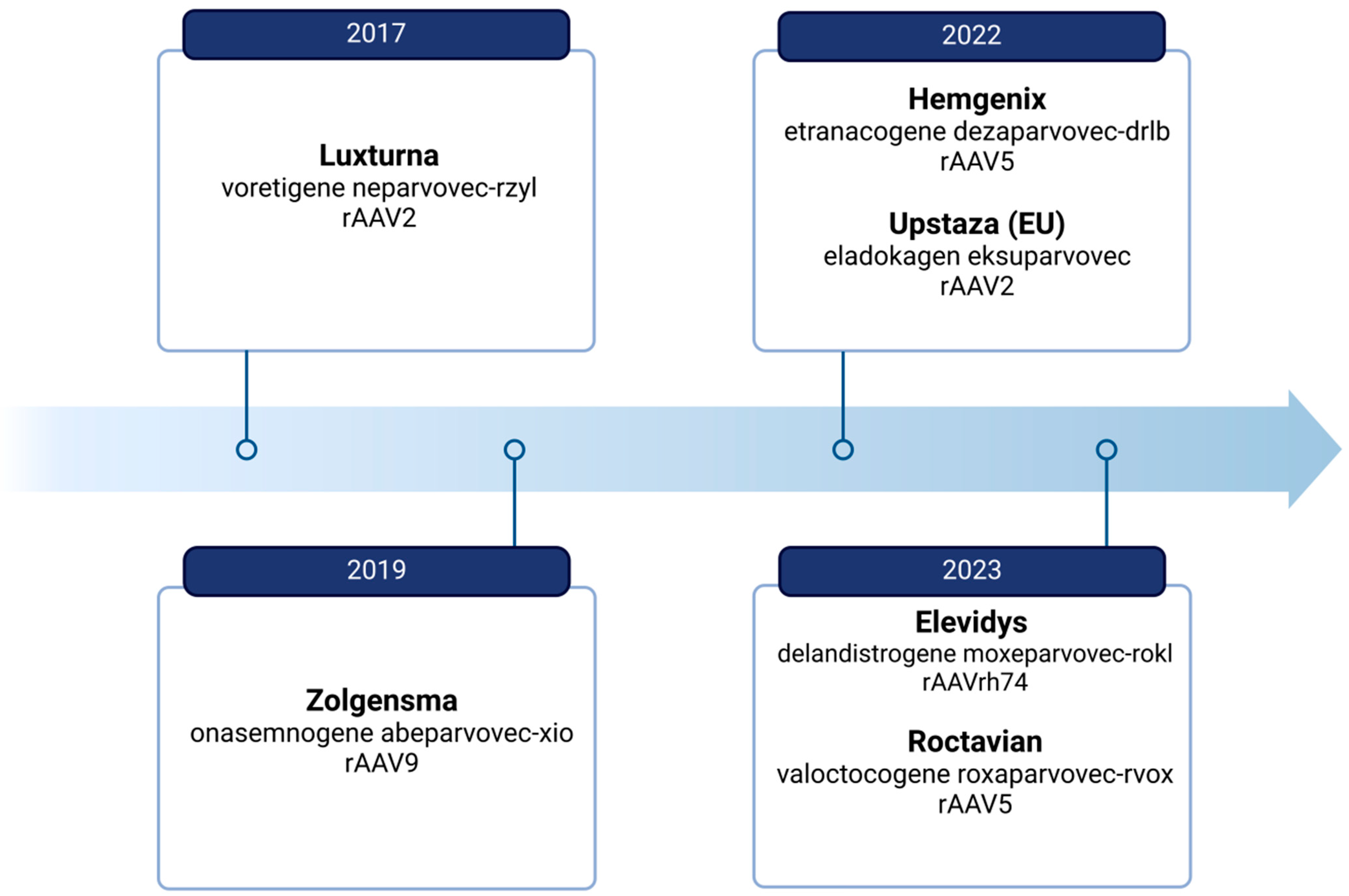 Biomedicines 12 01523 g001 Biomedicines 12 01523 g001