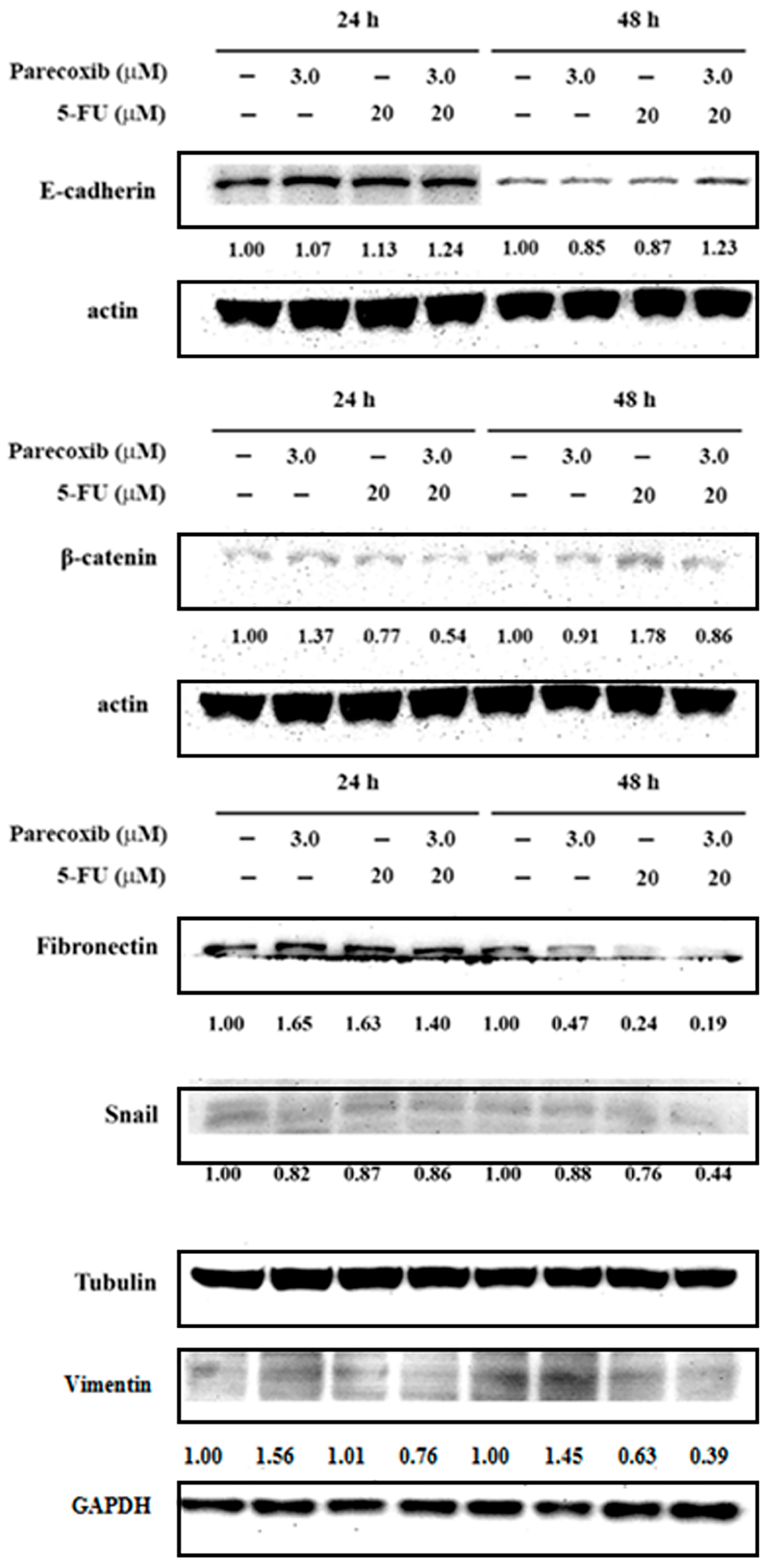 Biomedicines 12 01526 g004