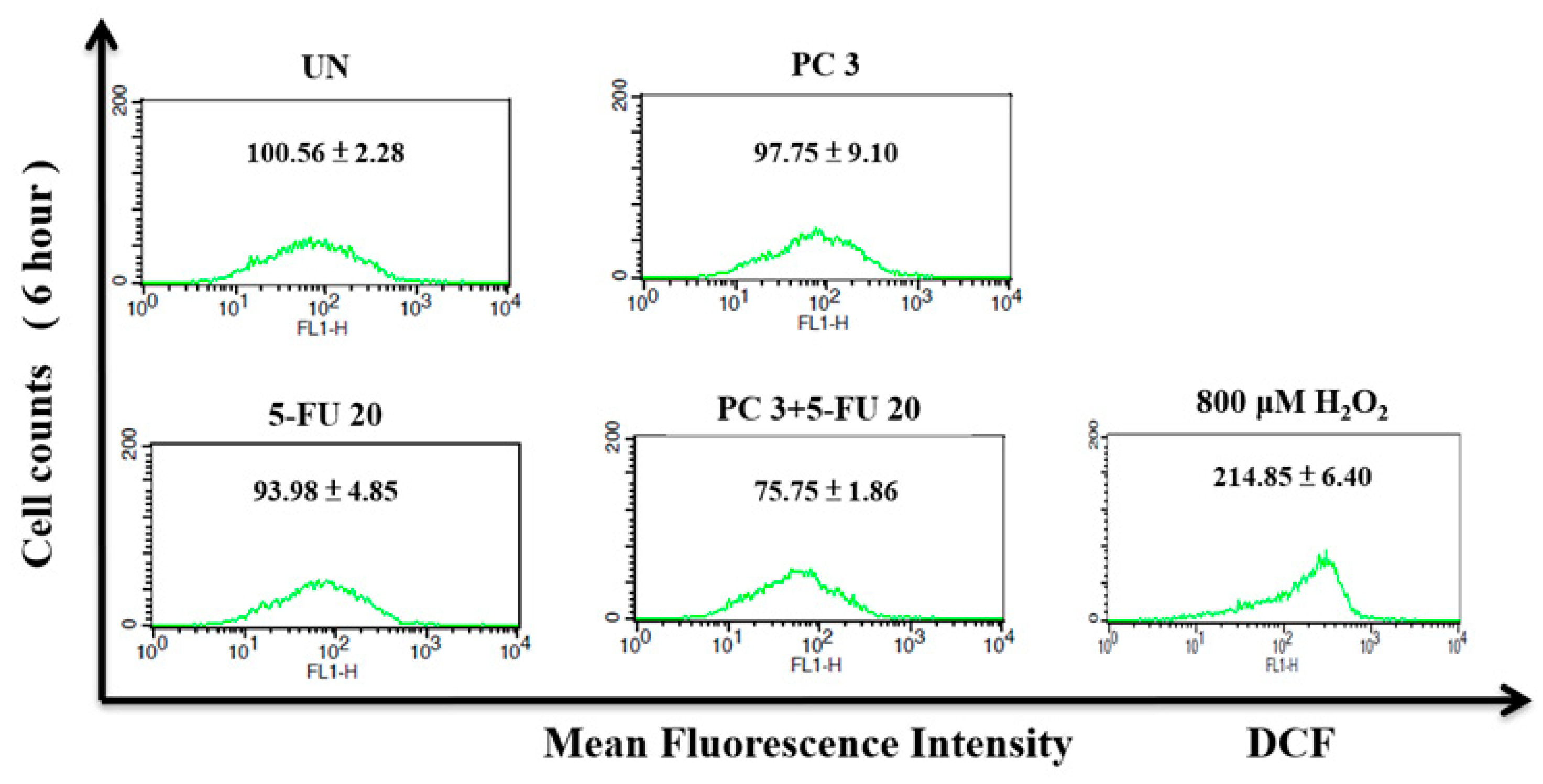 Biomedicines 12 01526 g008