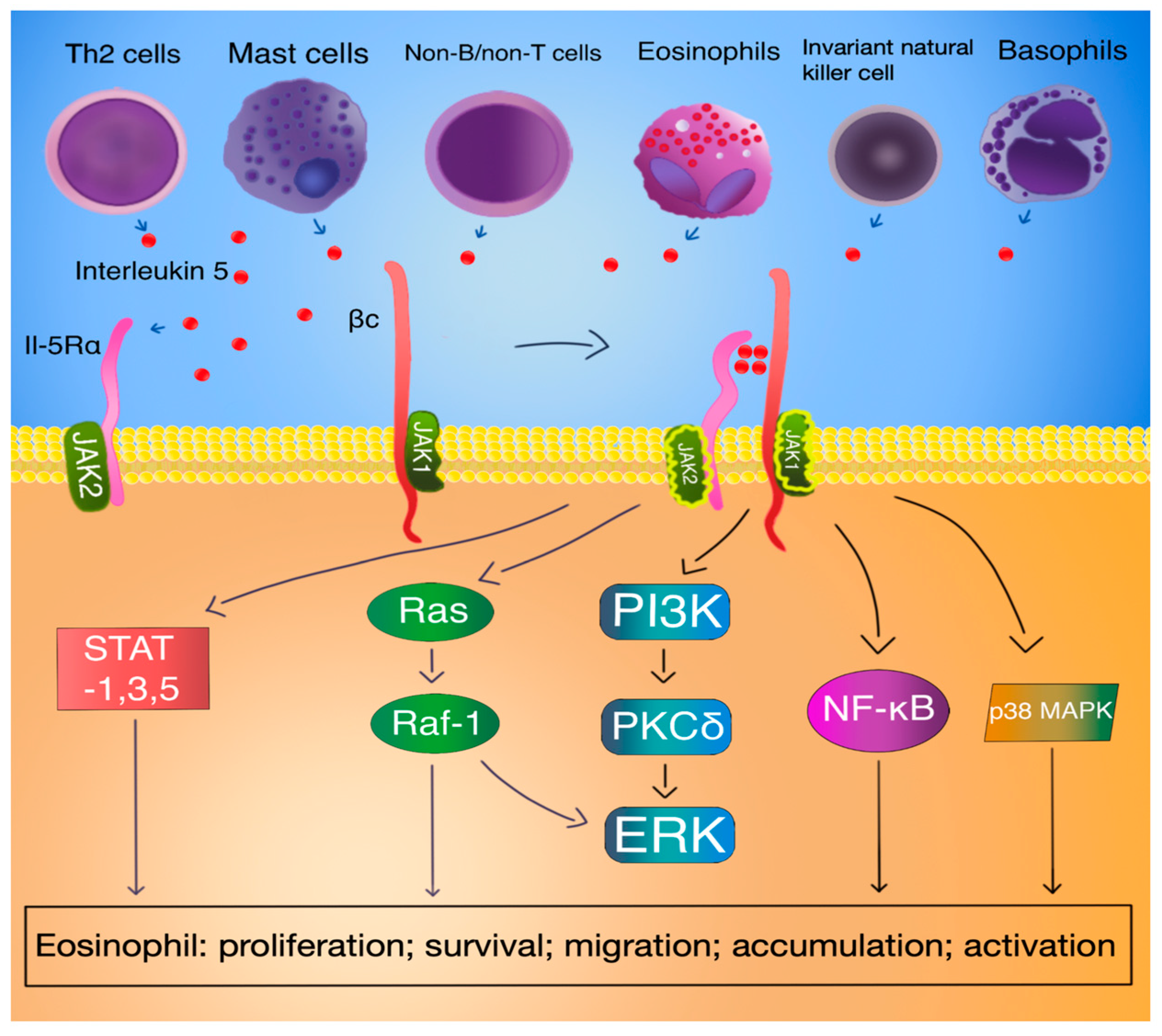 Biomedicines 12 01531 g003