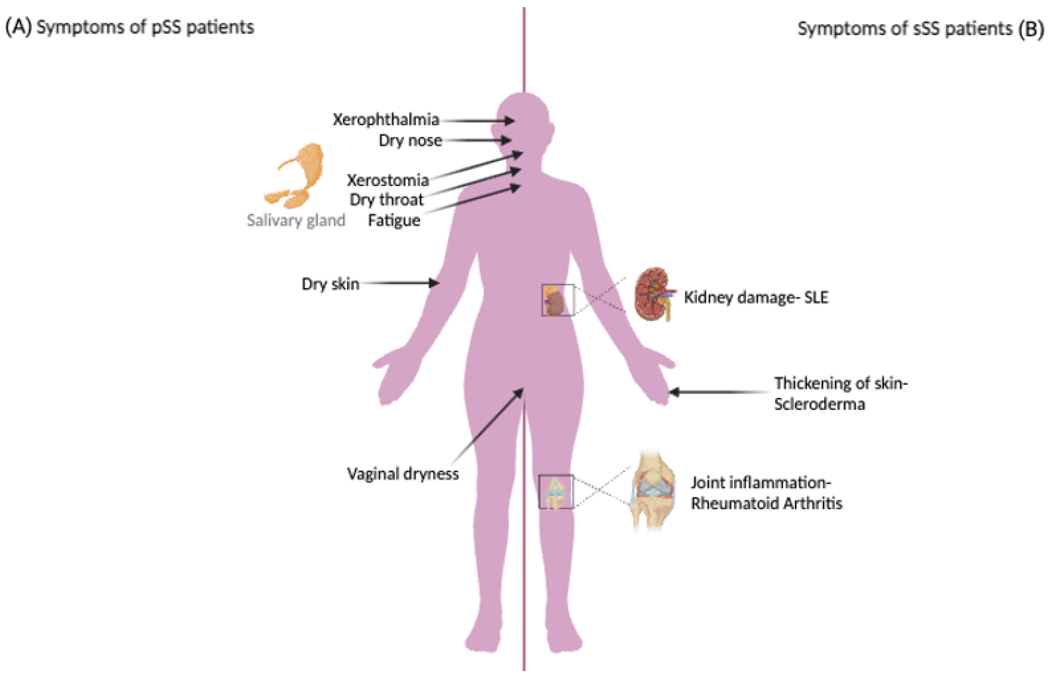 Biomedicines 12 01540 g001