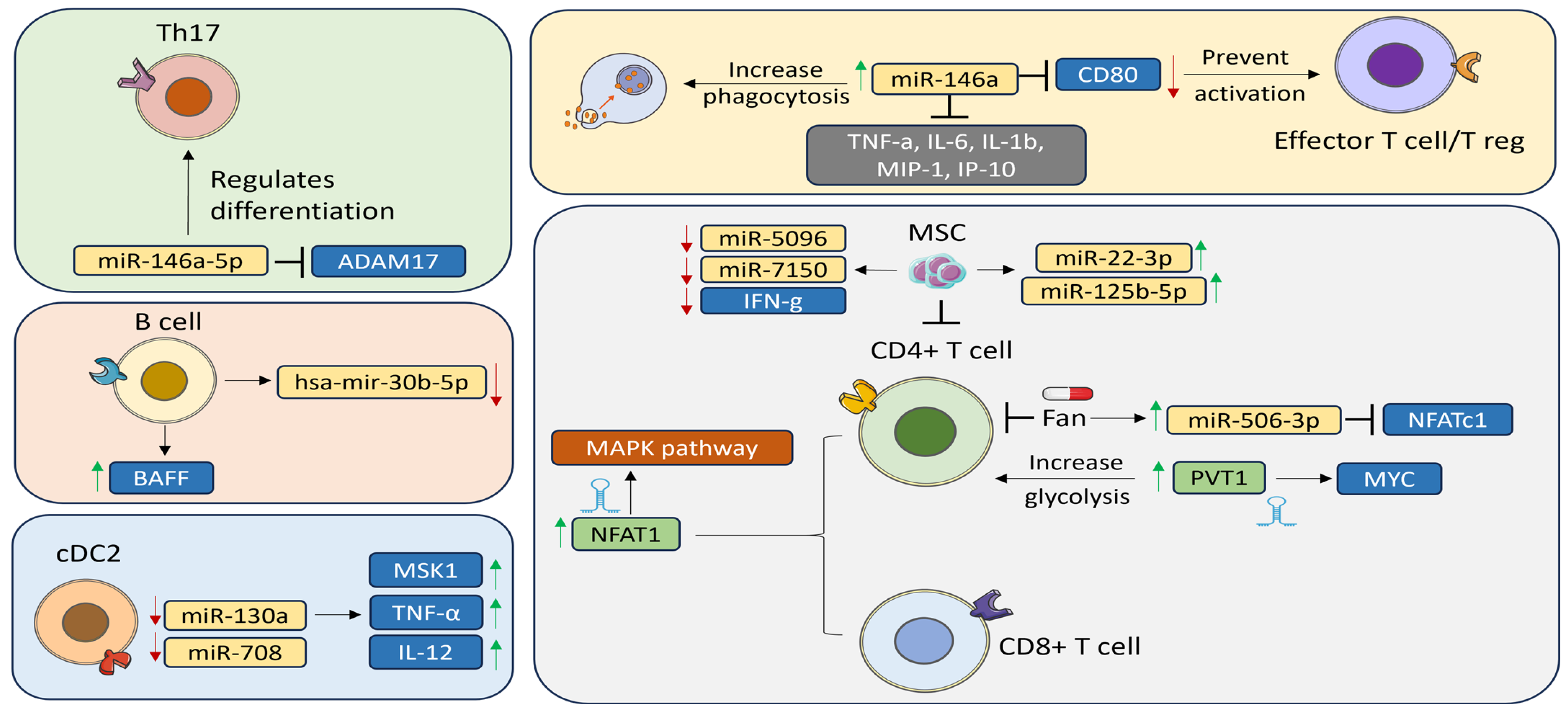 Biomedicines 12 01540 g002