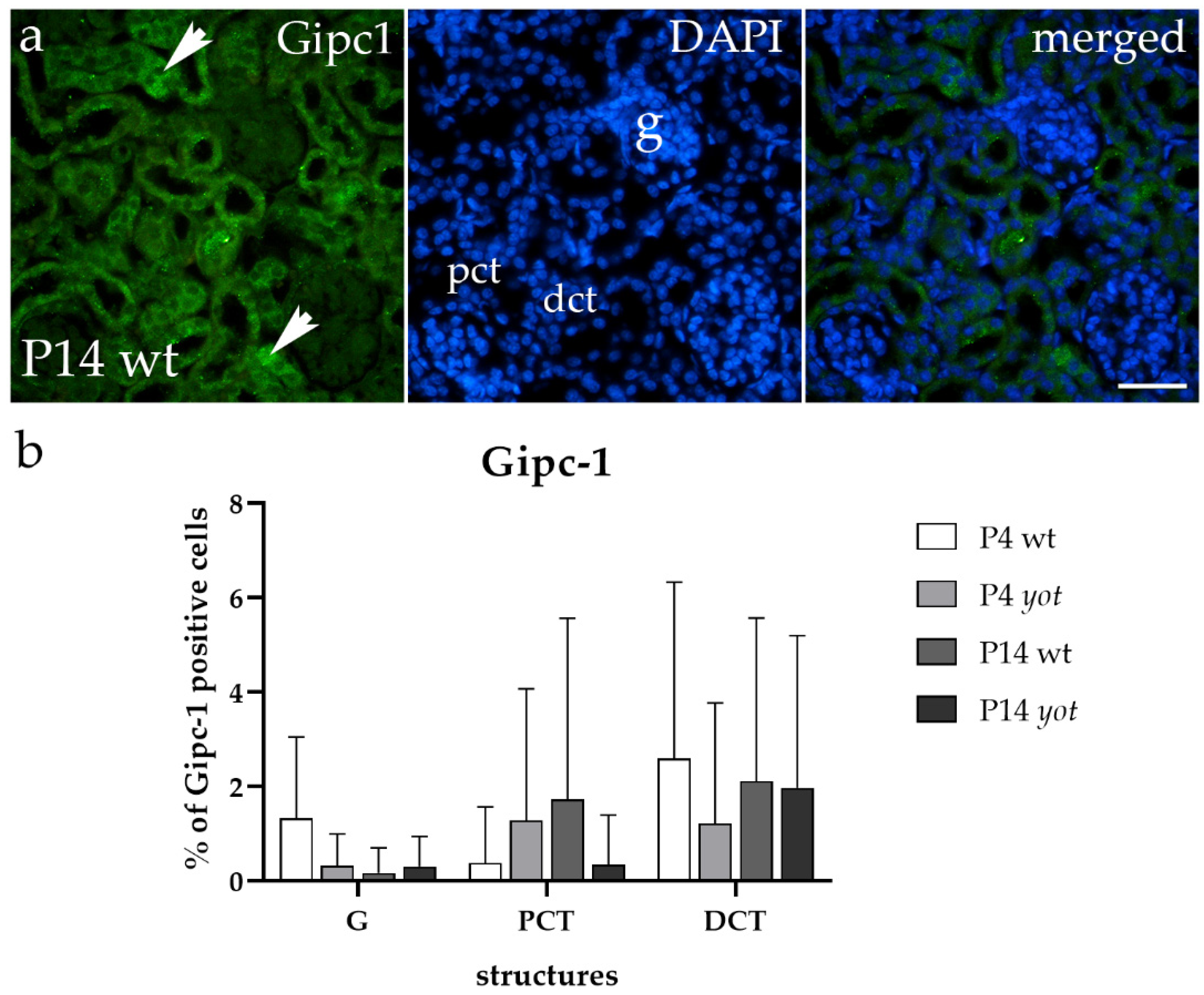 Biomedicines 12 01542 g006