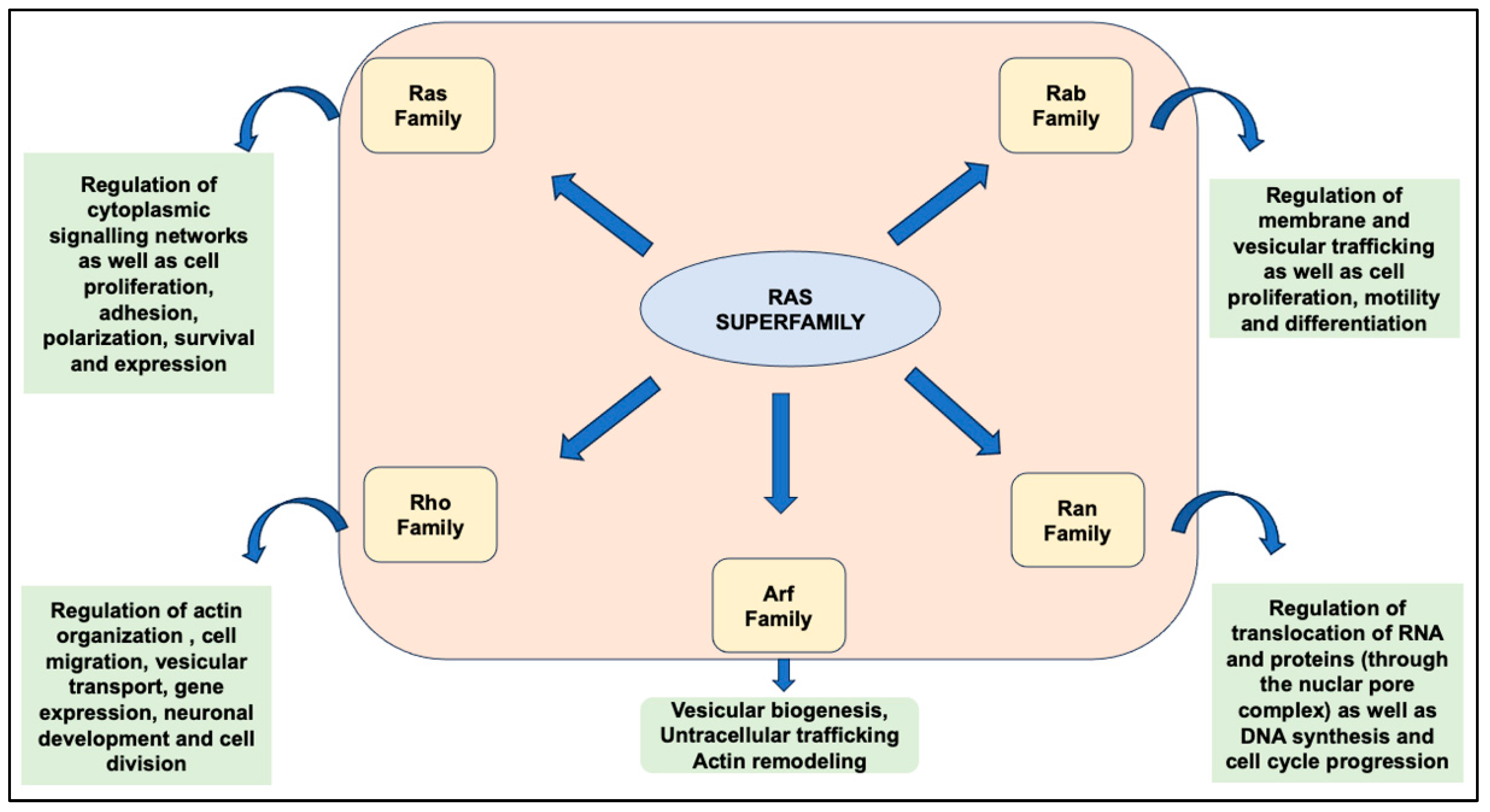 Biomedicines 12 01548 g001 Biomedicines 12 01548 g001