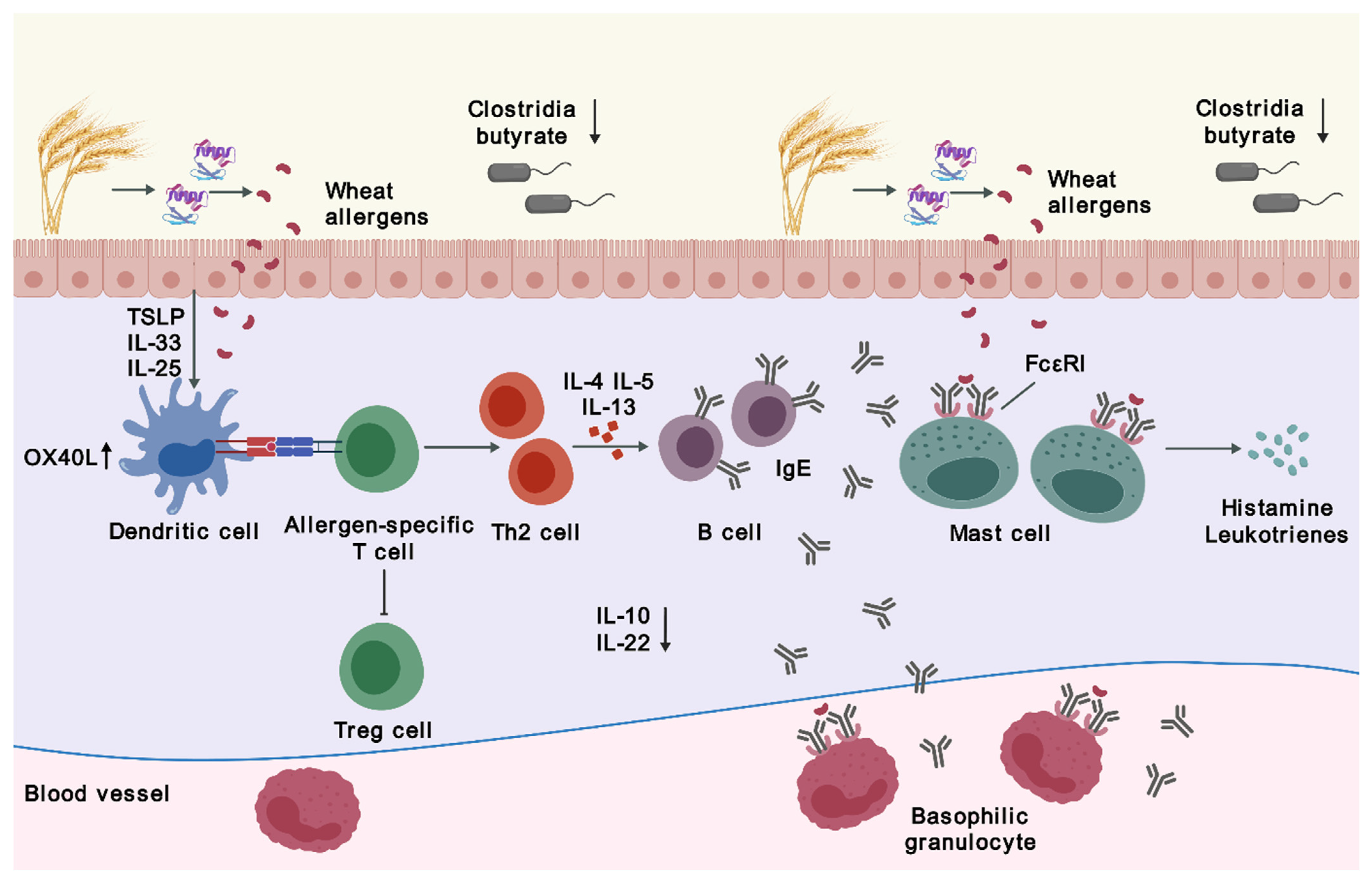 Biomedicines 12 01549 g001