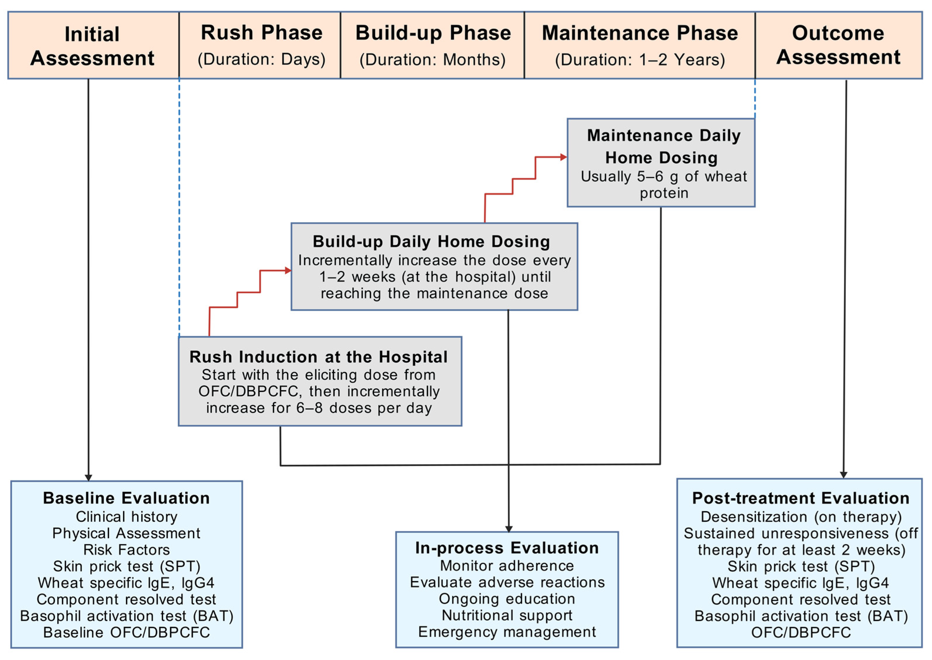 Biomedicines 12 01549 g003