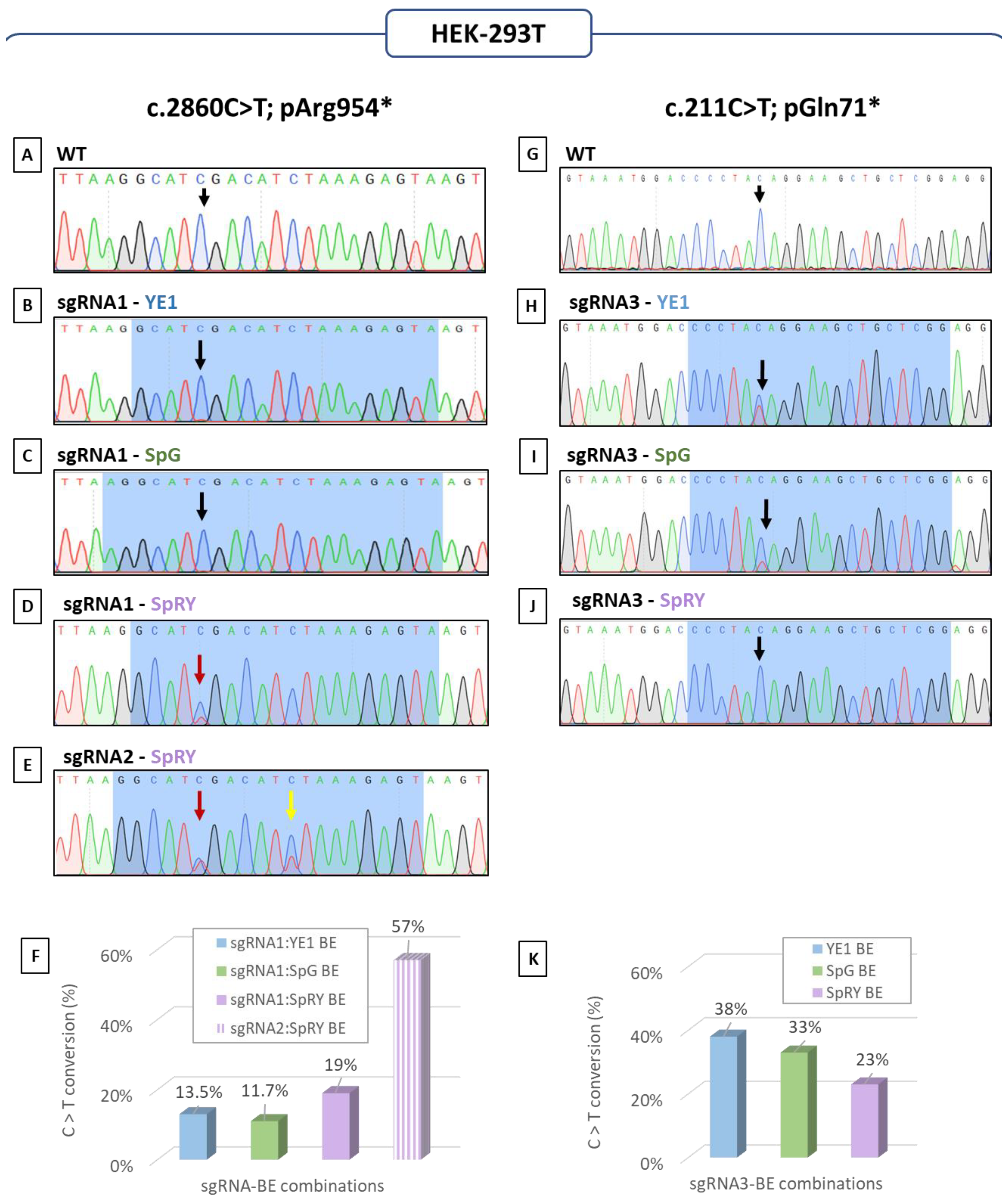 Biomedicines 12 01550 g003