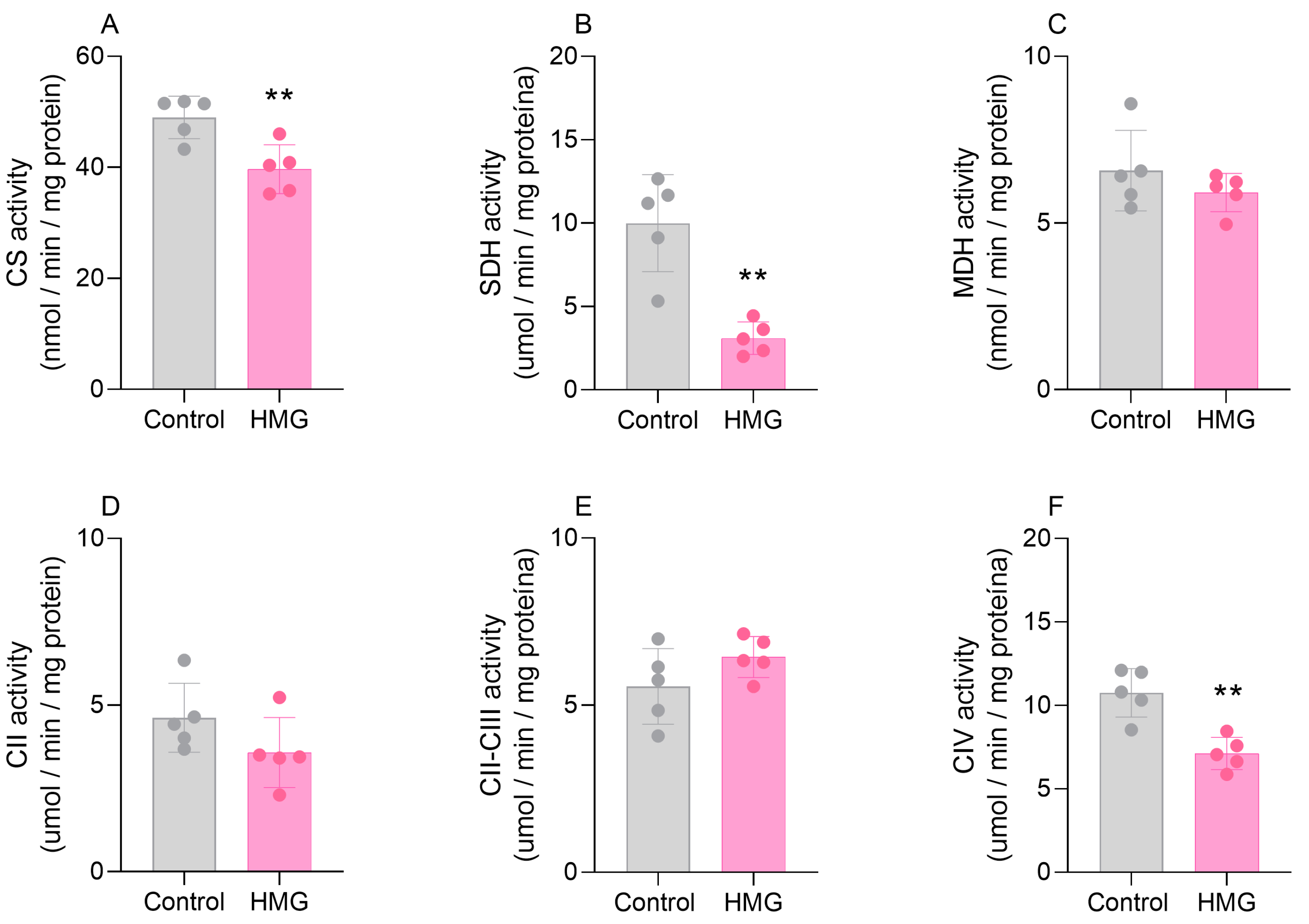 Biomedicines 12 01563 g004
