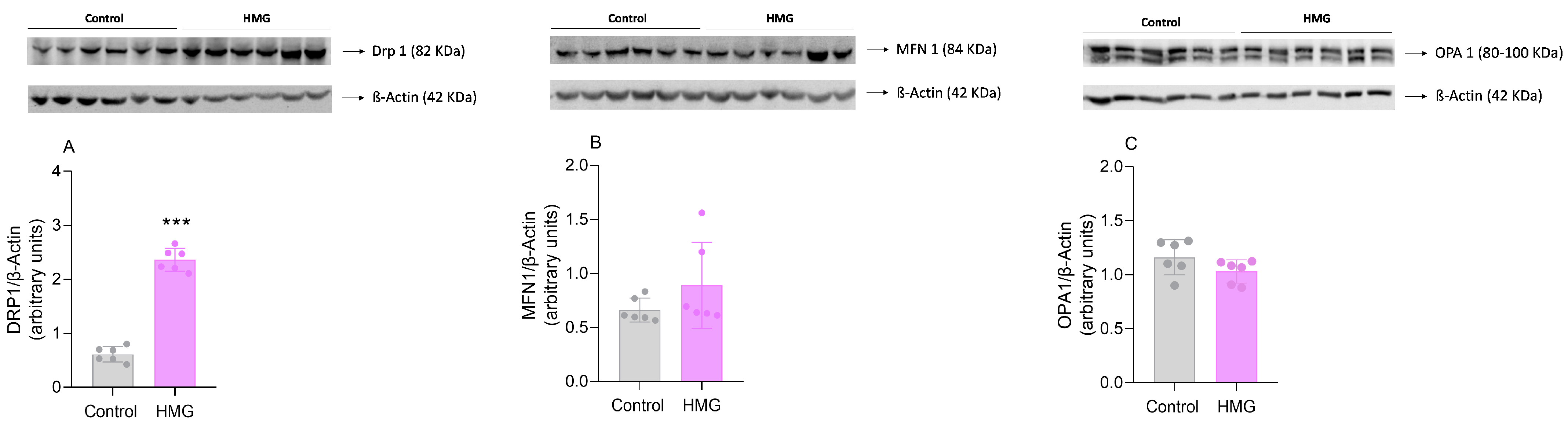 Biomedicines 12 01563 g005