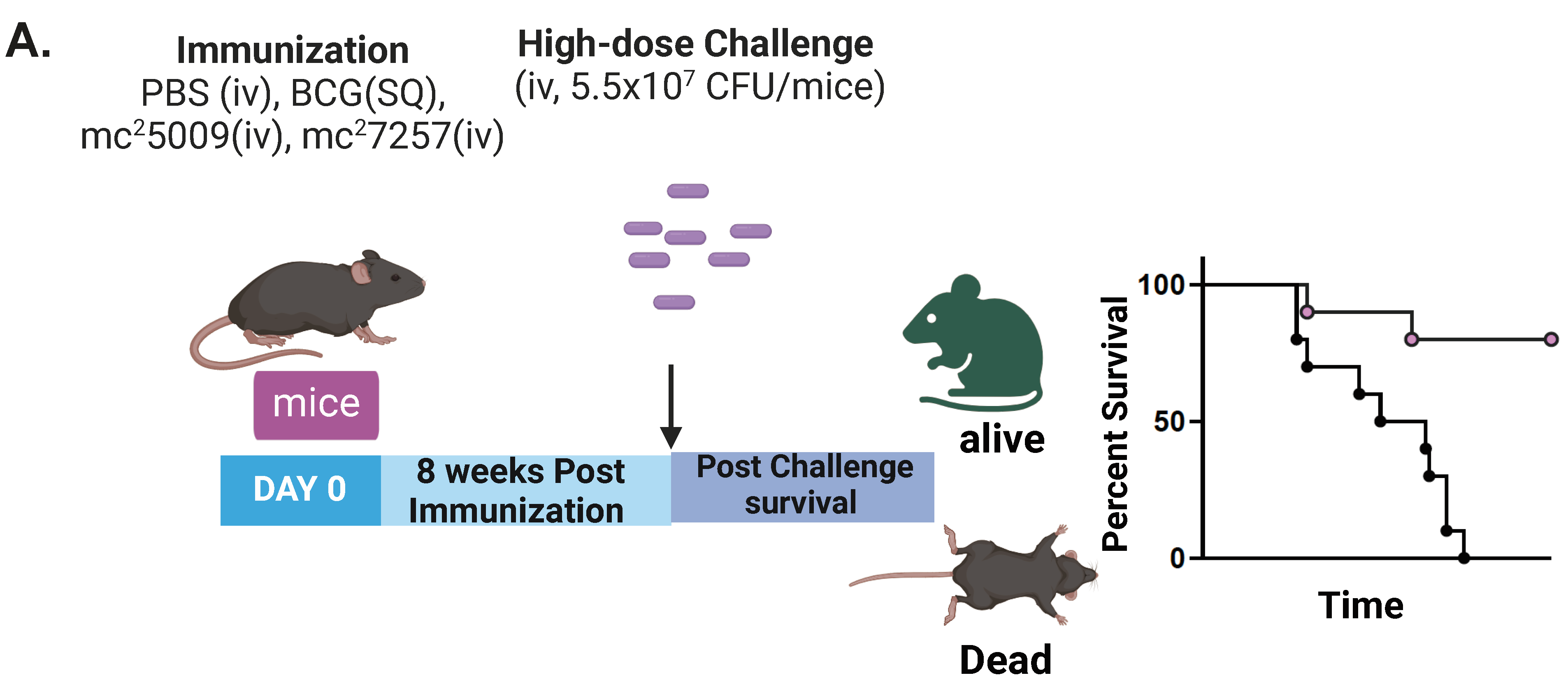 Biomedicines 12 01571 g001a