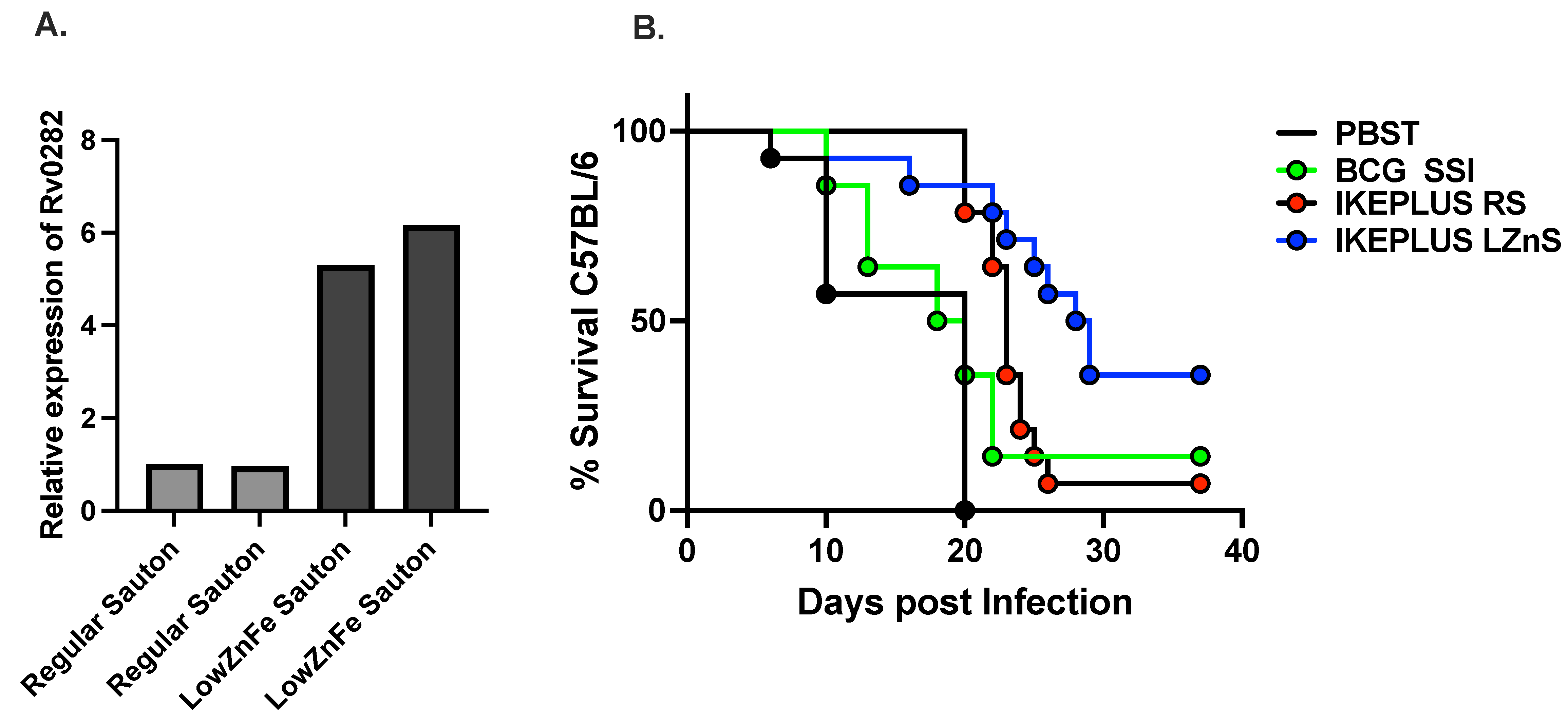 Biomedicines 12 01571 g002