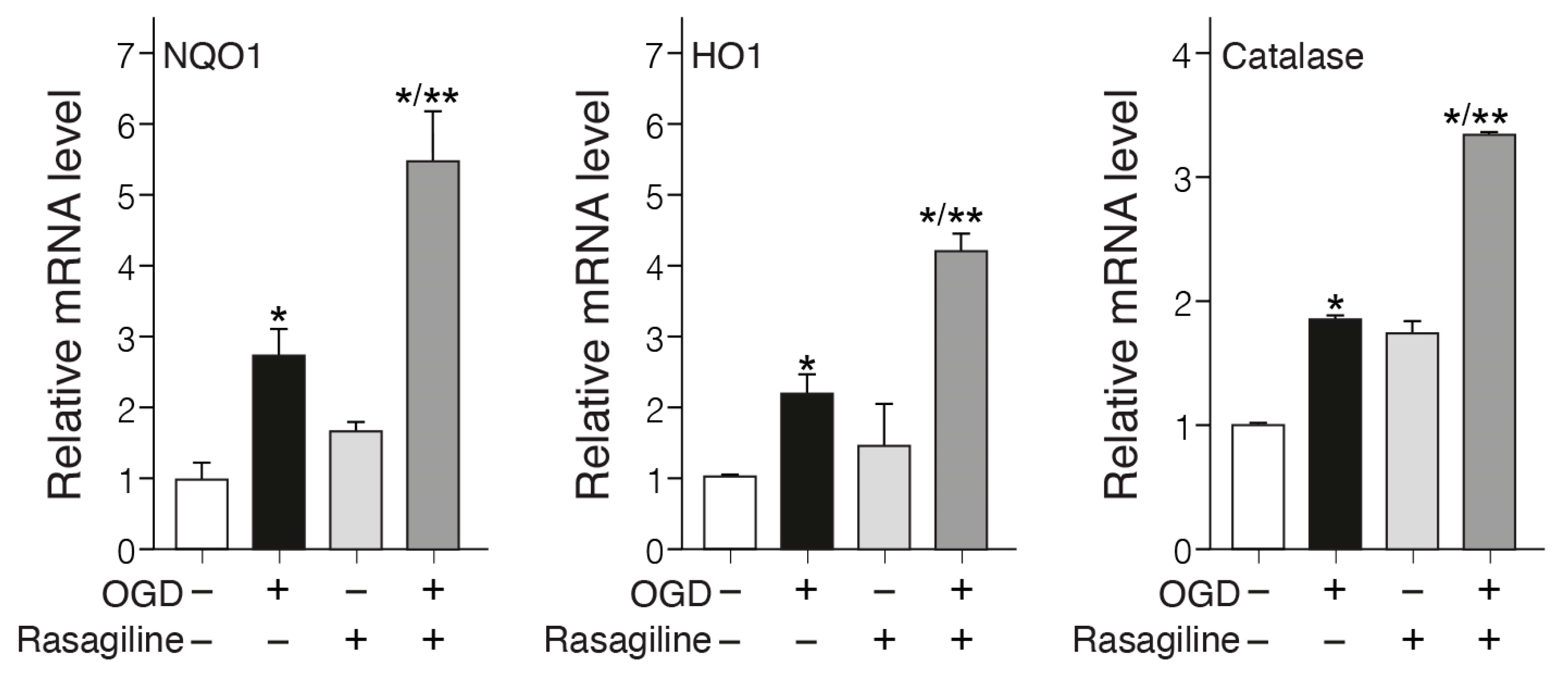 Biomedicines 12 01592 g005