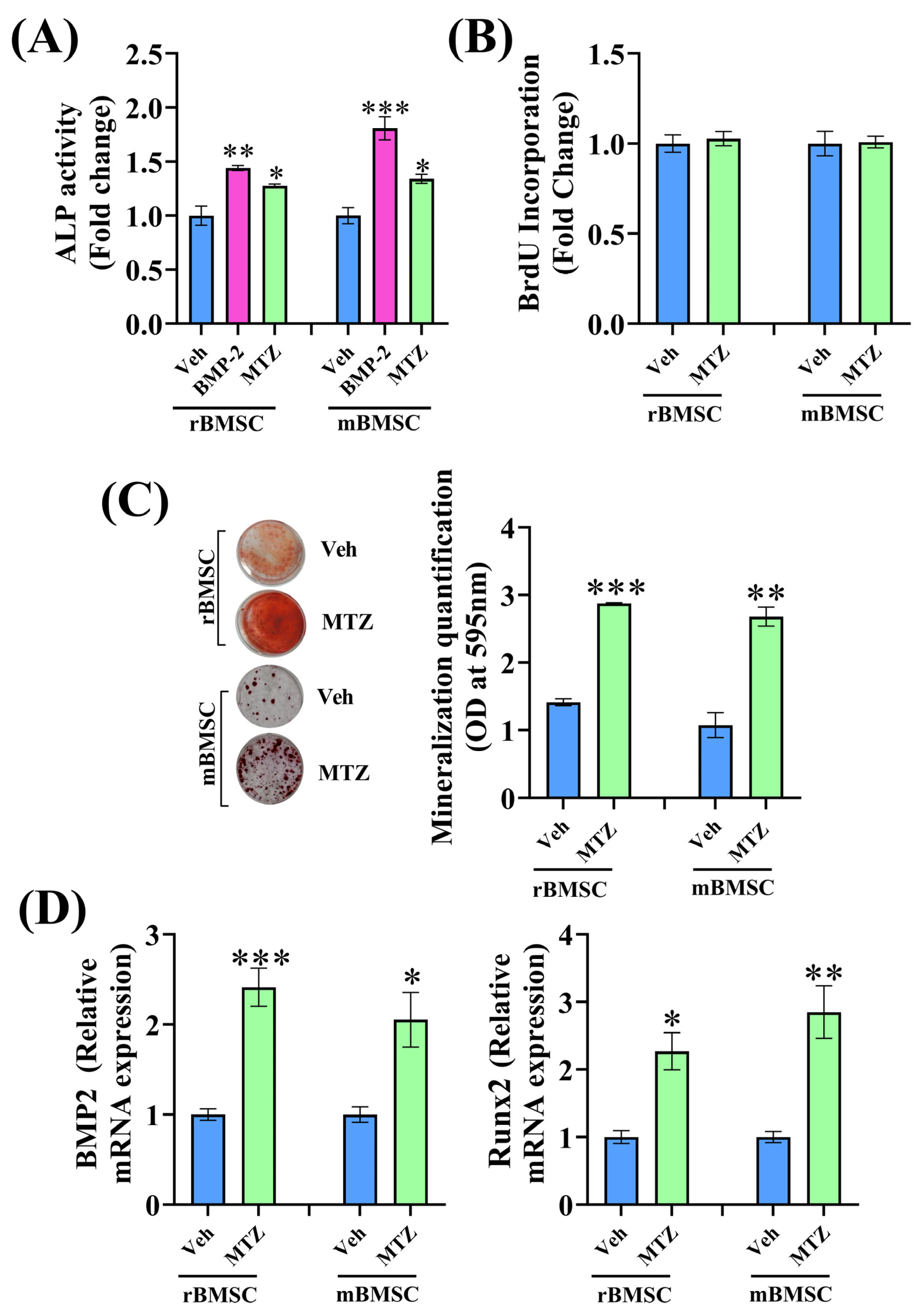 Biomedicines 12 01603 g001