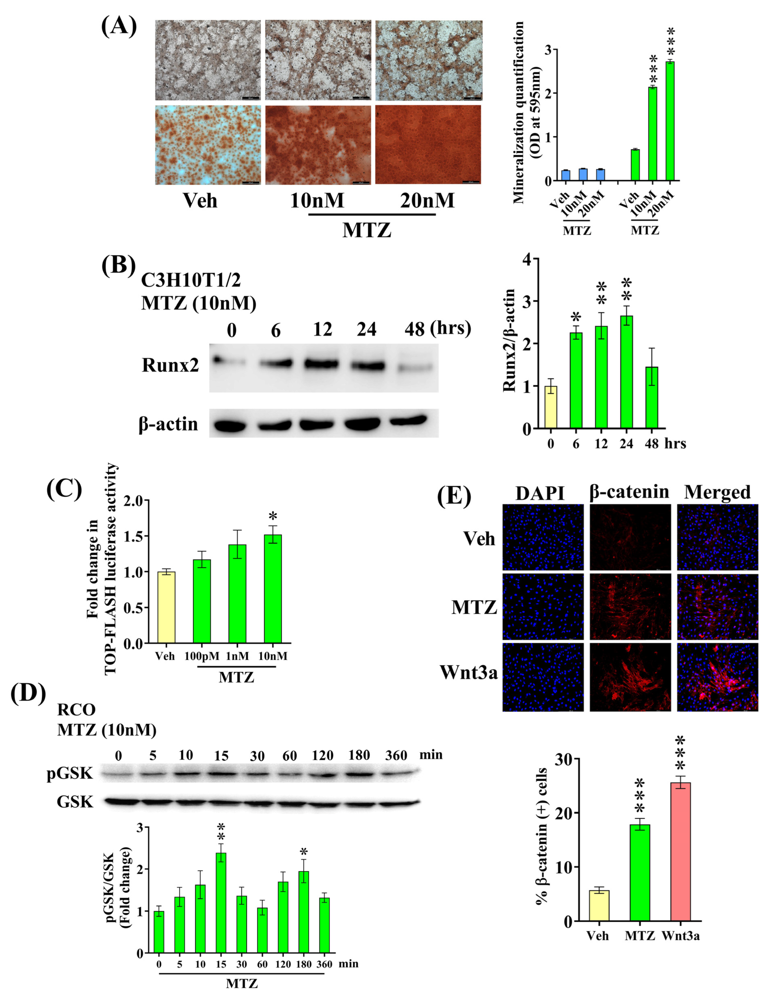 Biomedicines 12 01603 g002