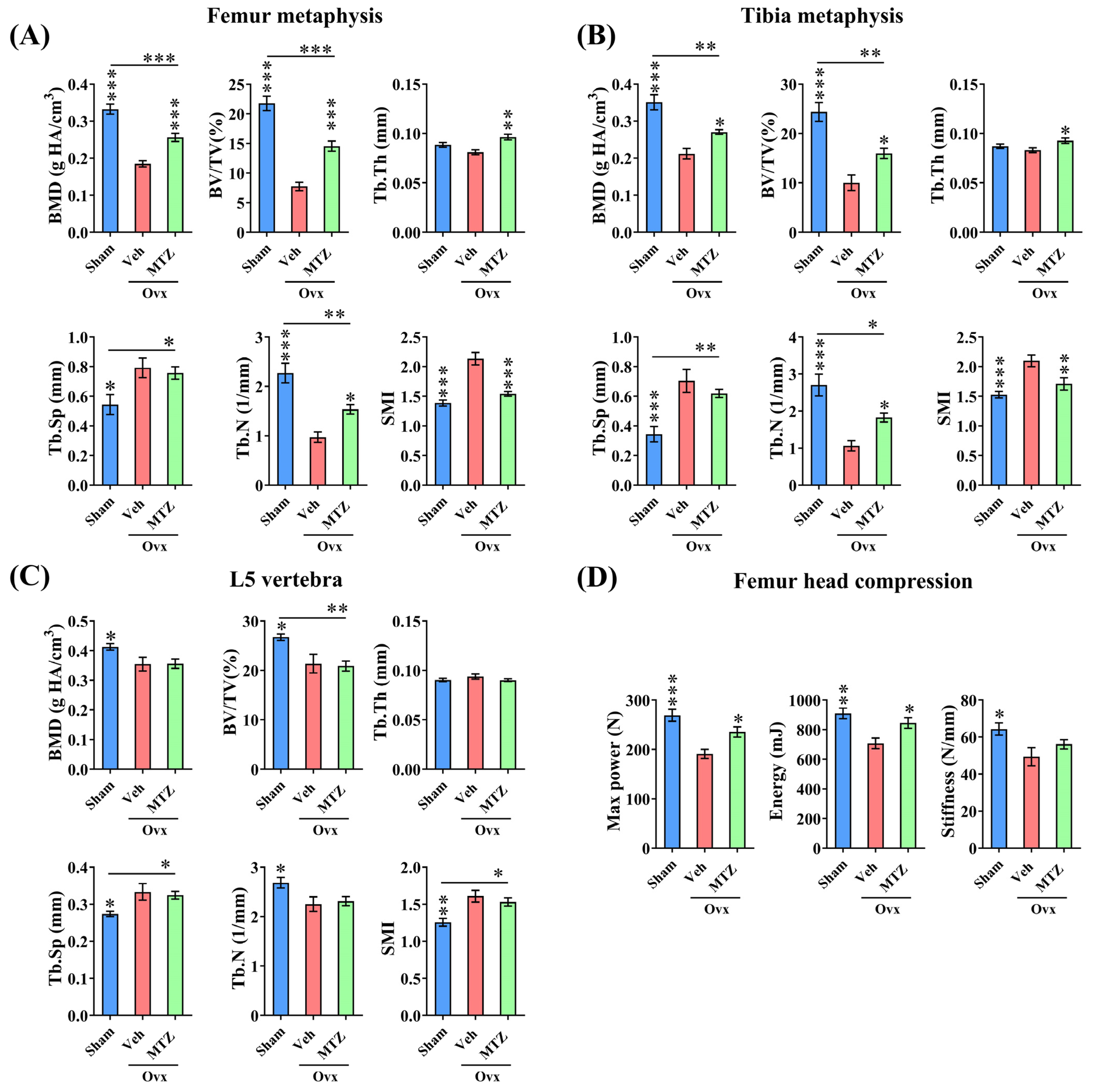 Biomedicines 12 01603 g004