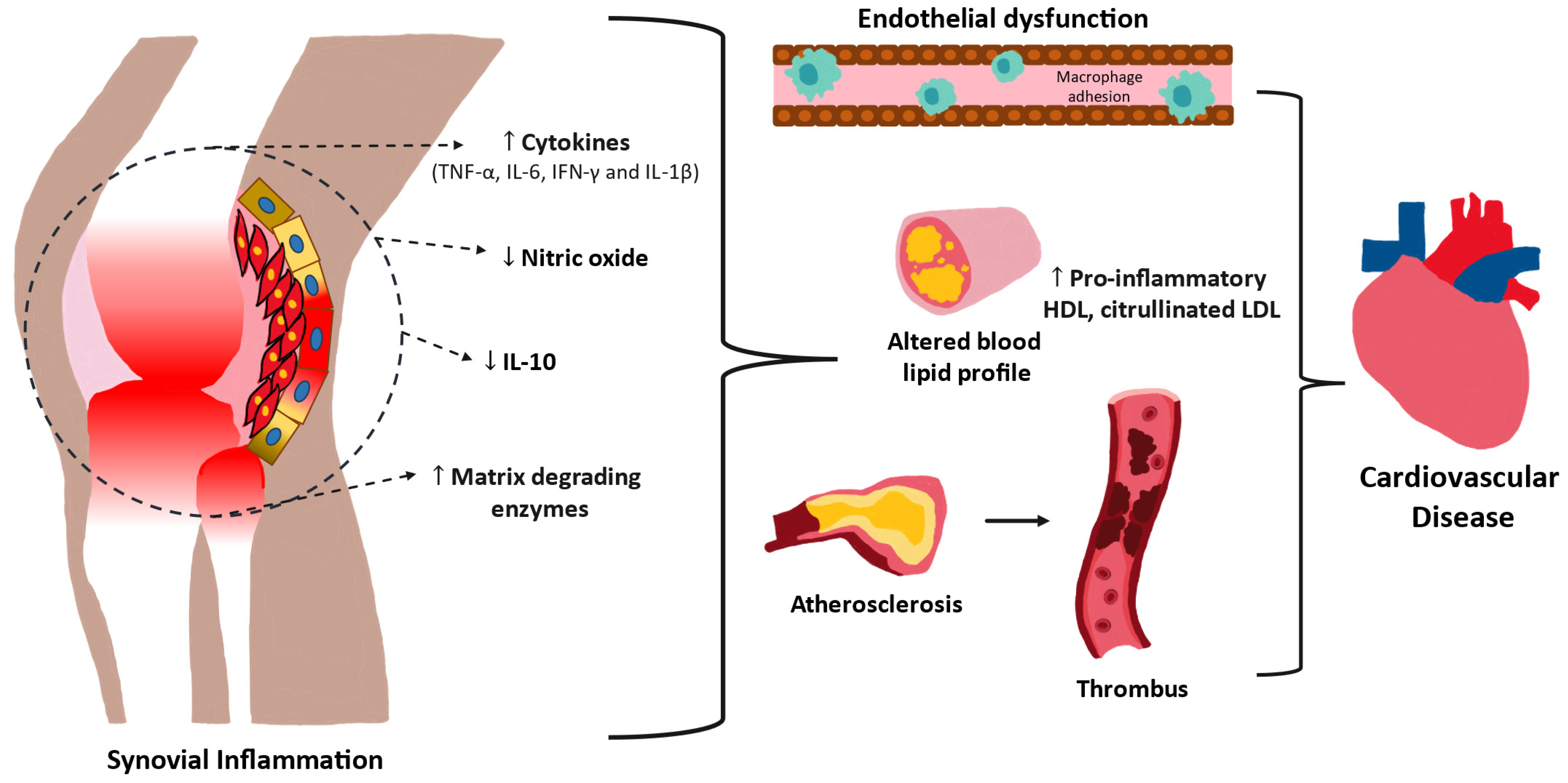 Biomedicines 12 01608 g001