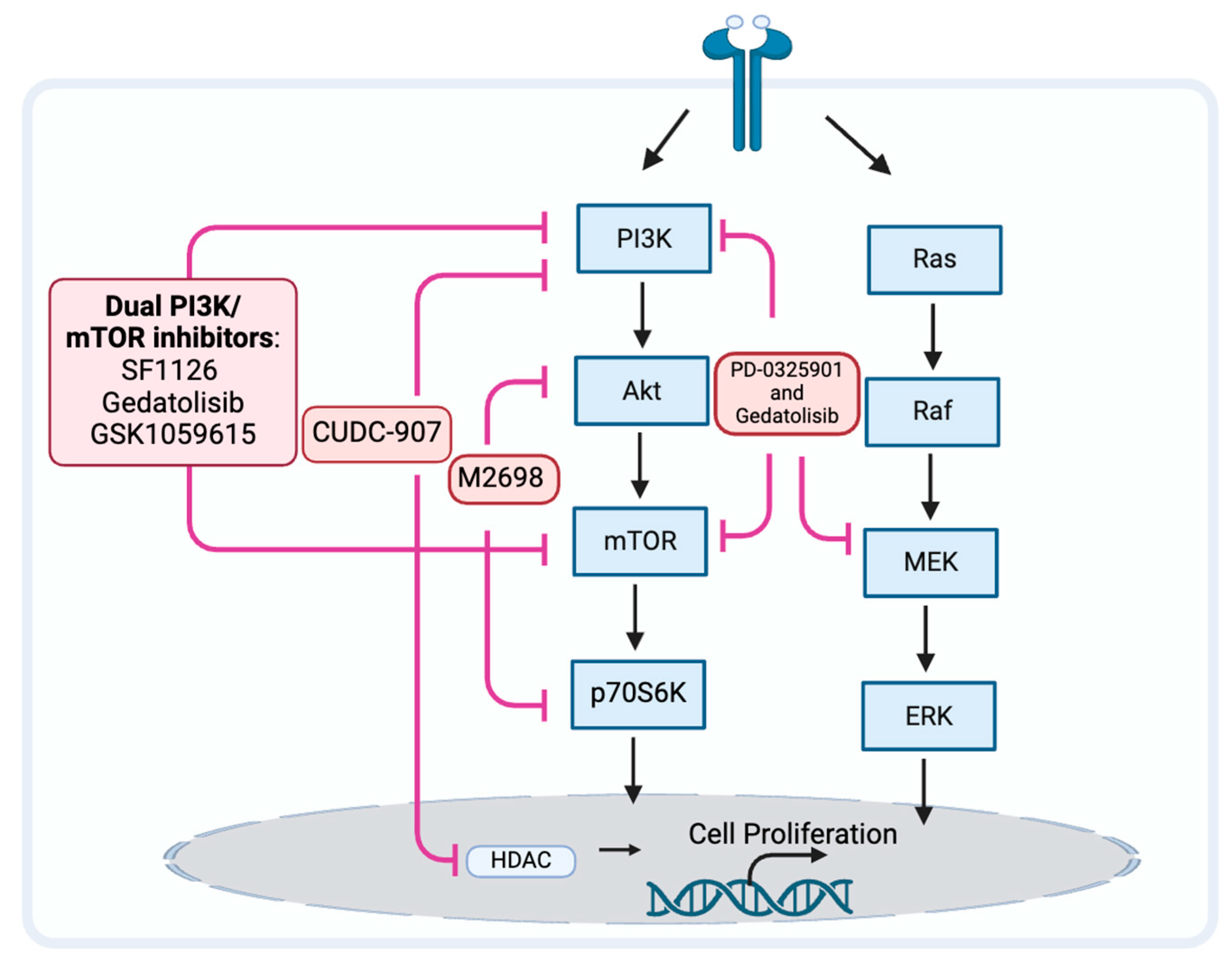 Biomedicines 12 01610 g003 Biomedicines 12 01610 g003