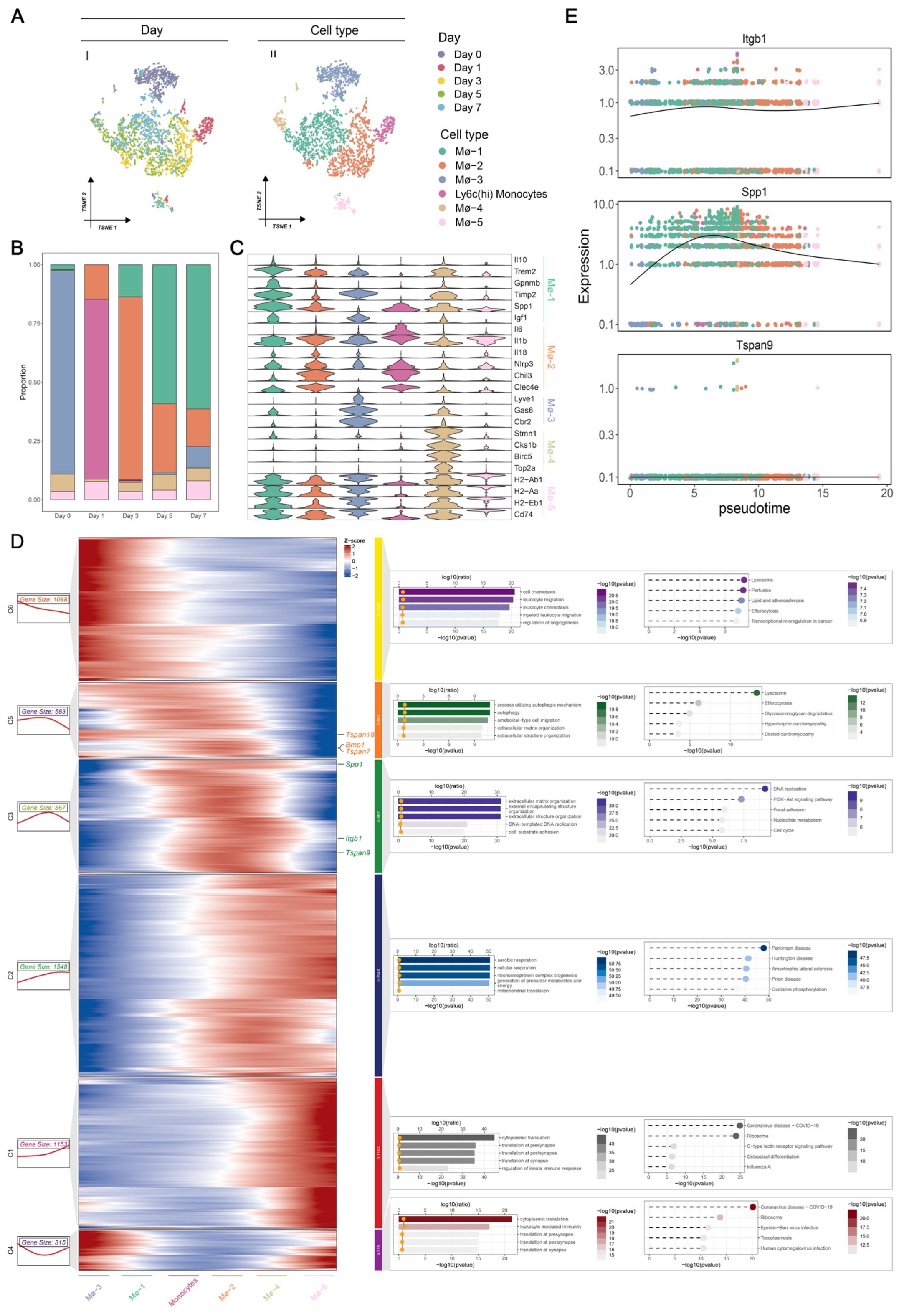 Biomedicines 12 01626 g005