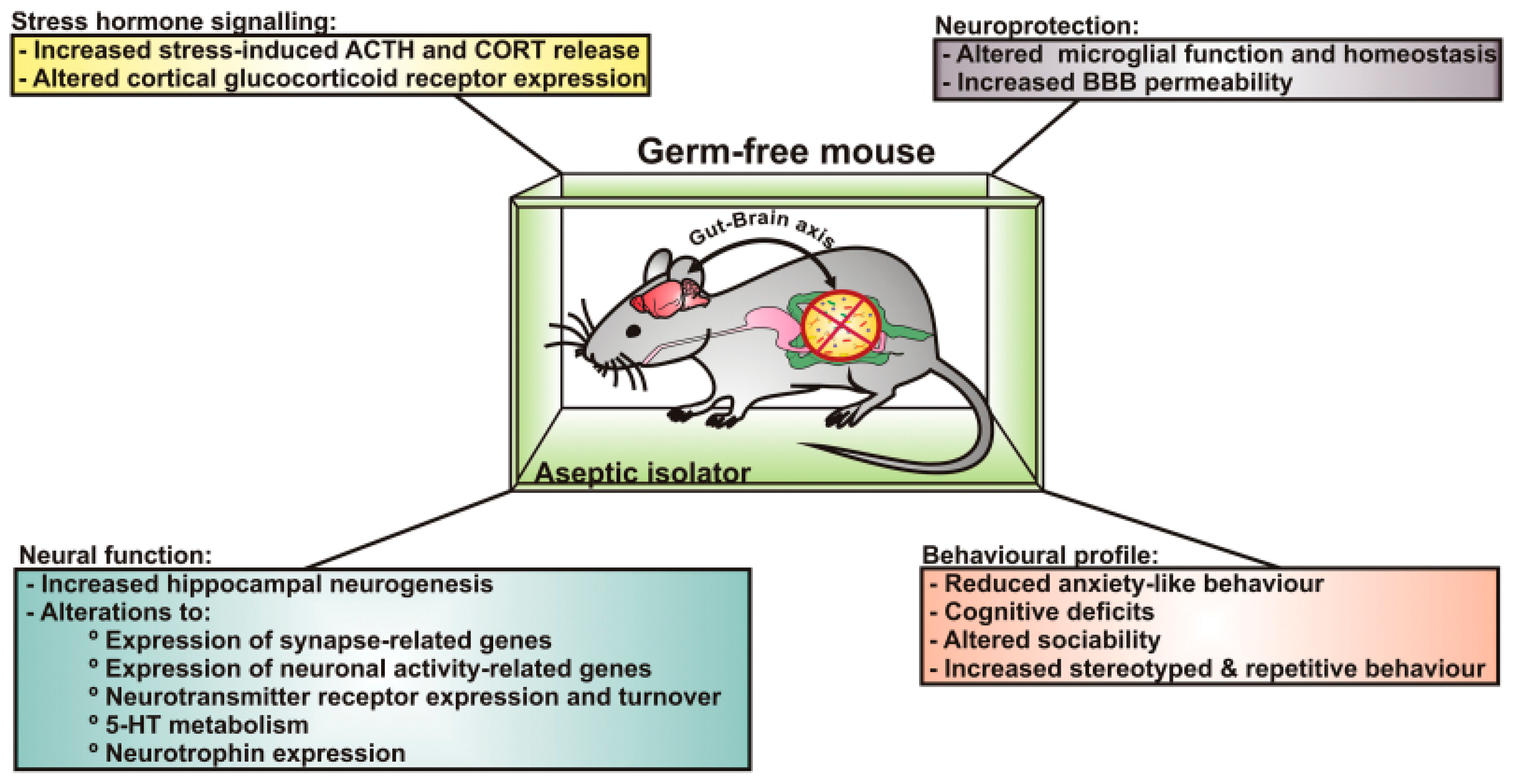 Biomedicines 12 01628 g001