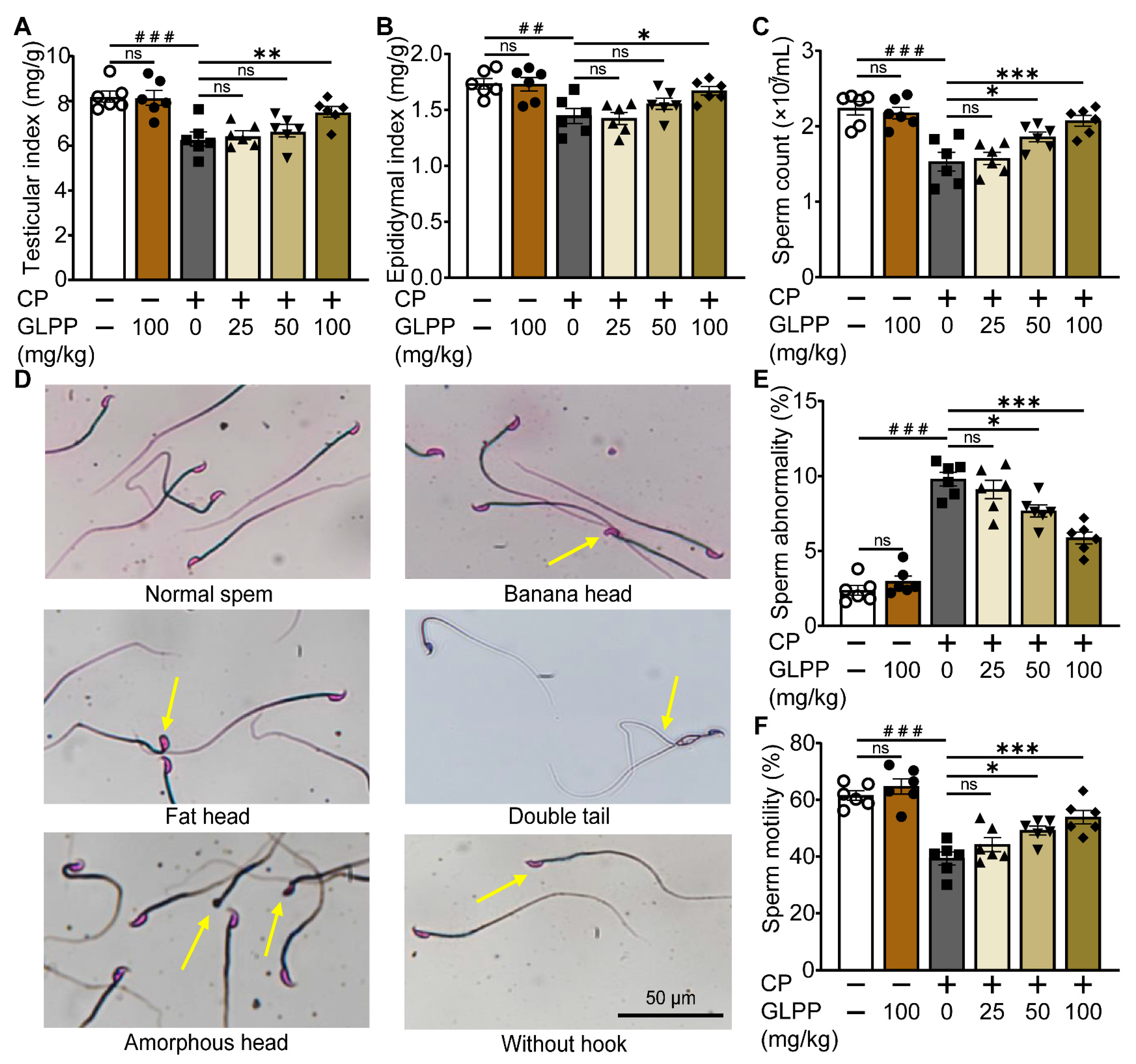 Biomedicines 12 01632 g002