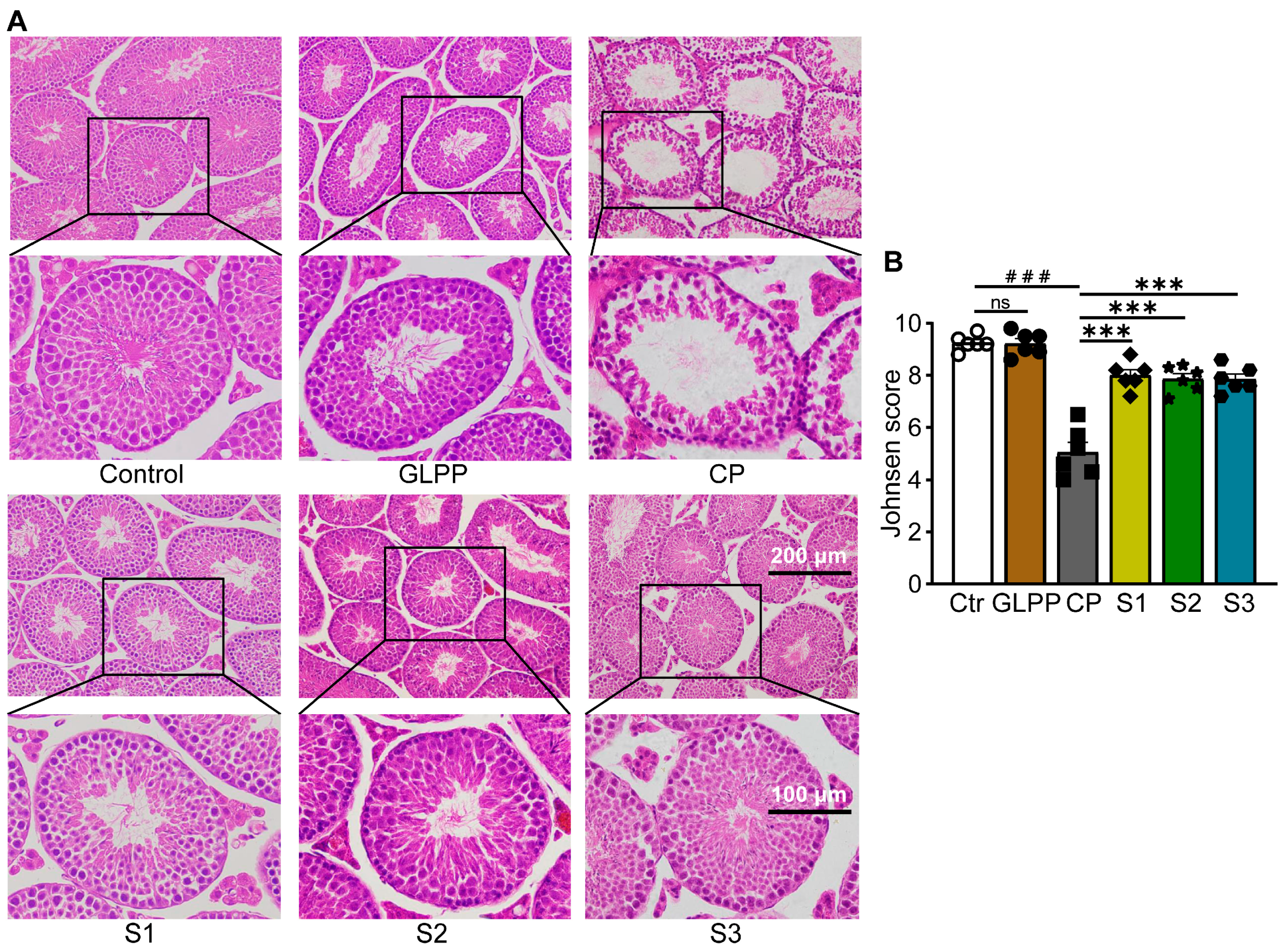 Biomedicines 12 01632 g005