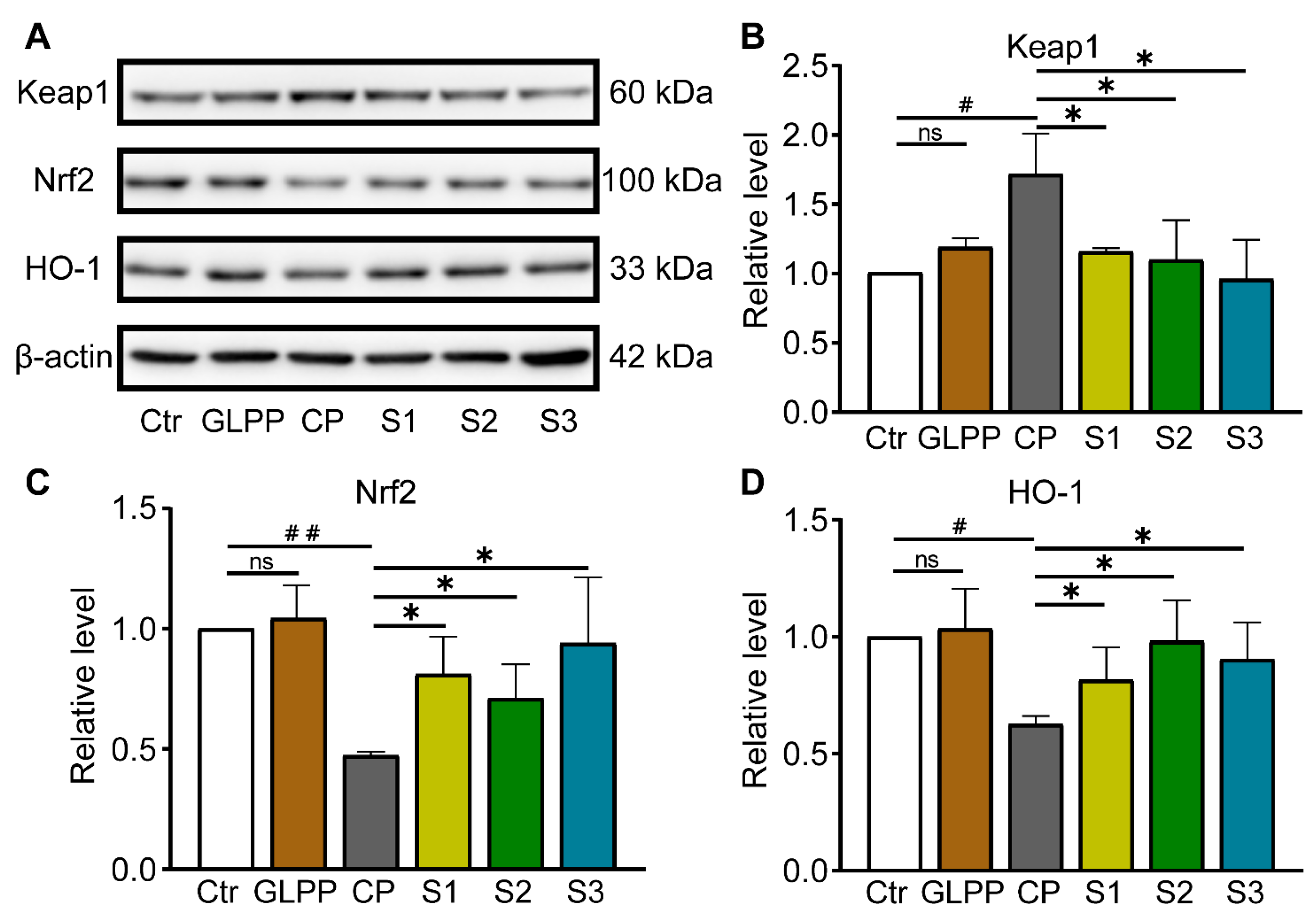 Biomedicines 12 01632 g008