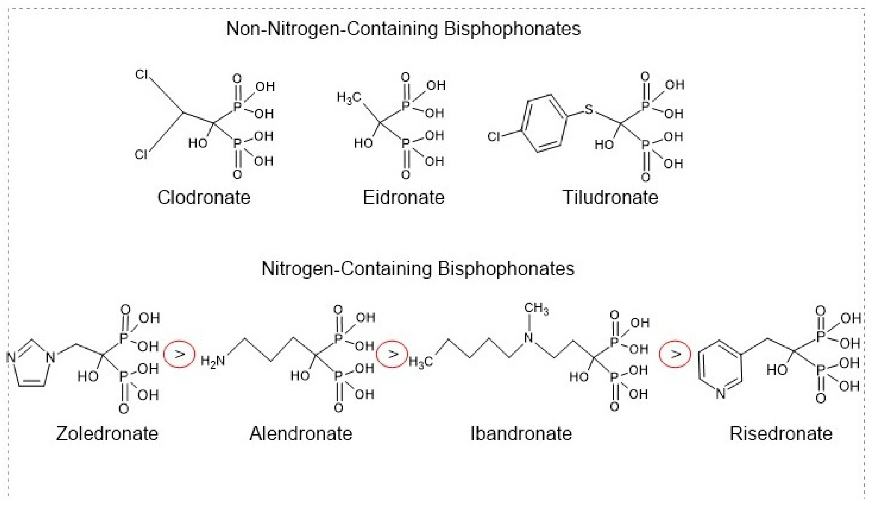 Biomedicines 12 01635 g008 Biomedicines 12 01635 g008