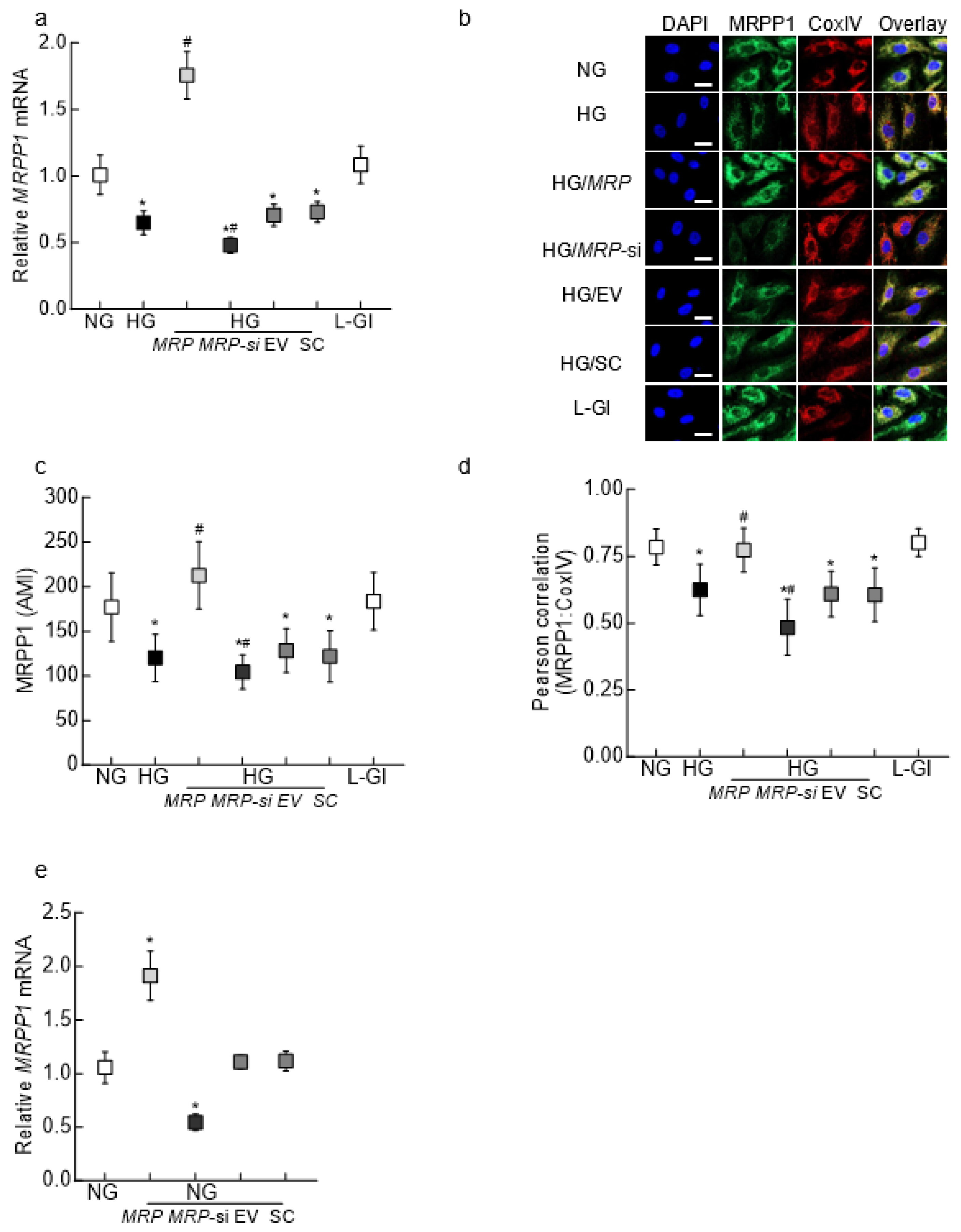 Biomedicines 12 01637 g001