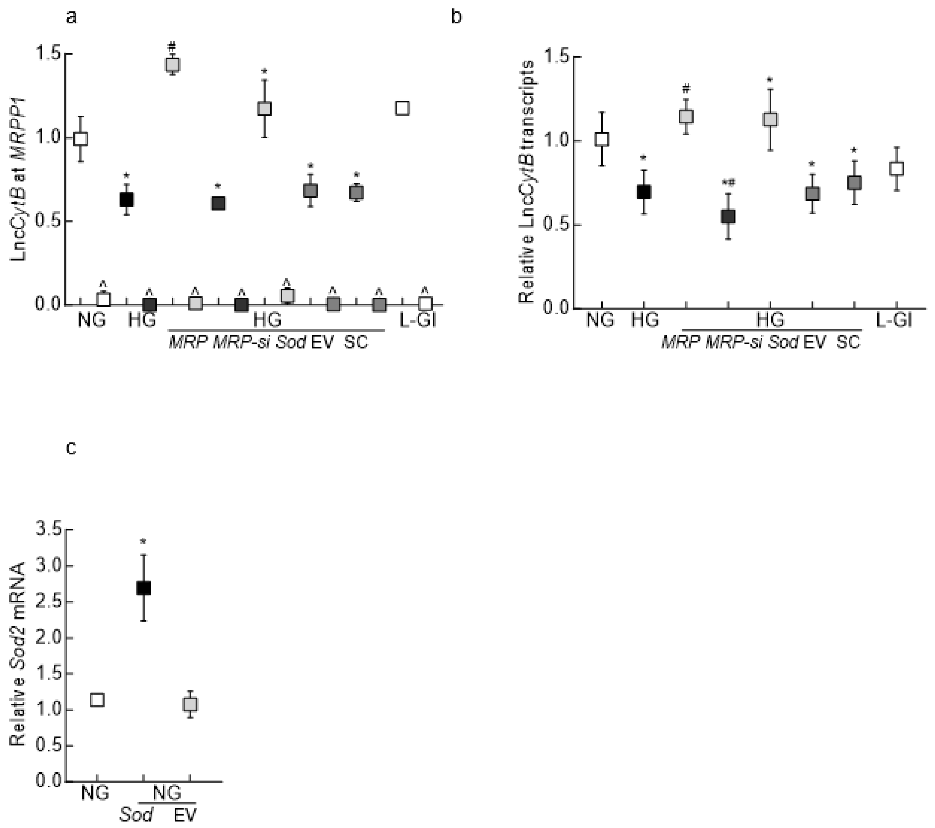 Biomedicines 12 01637 g002