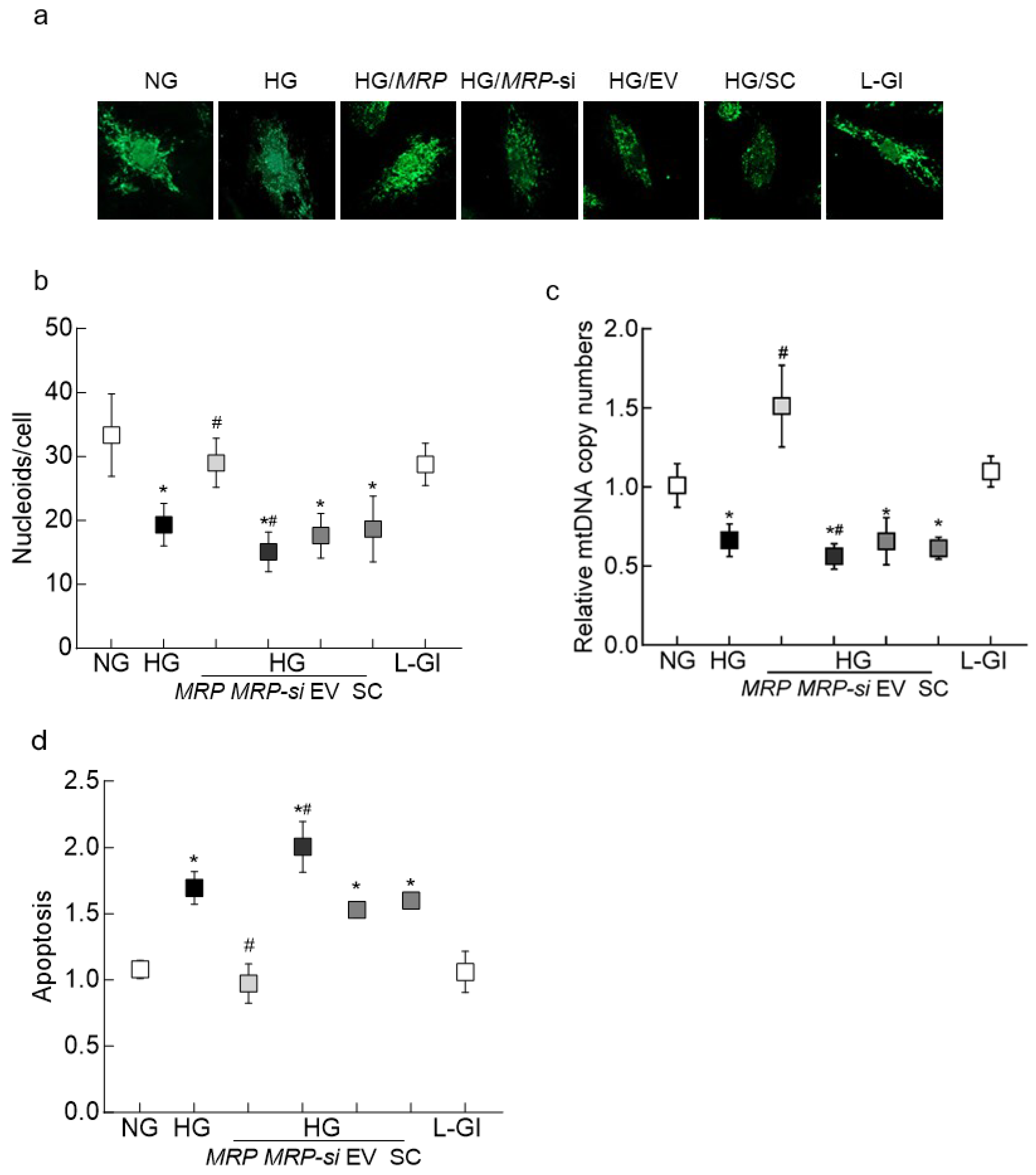 Biomedicines 12 01637 g005