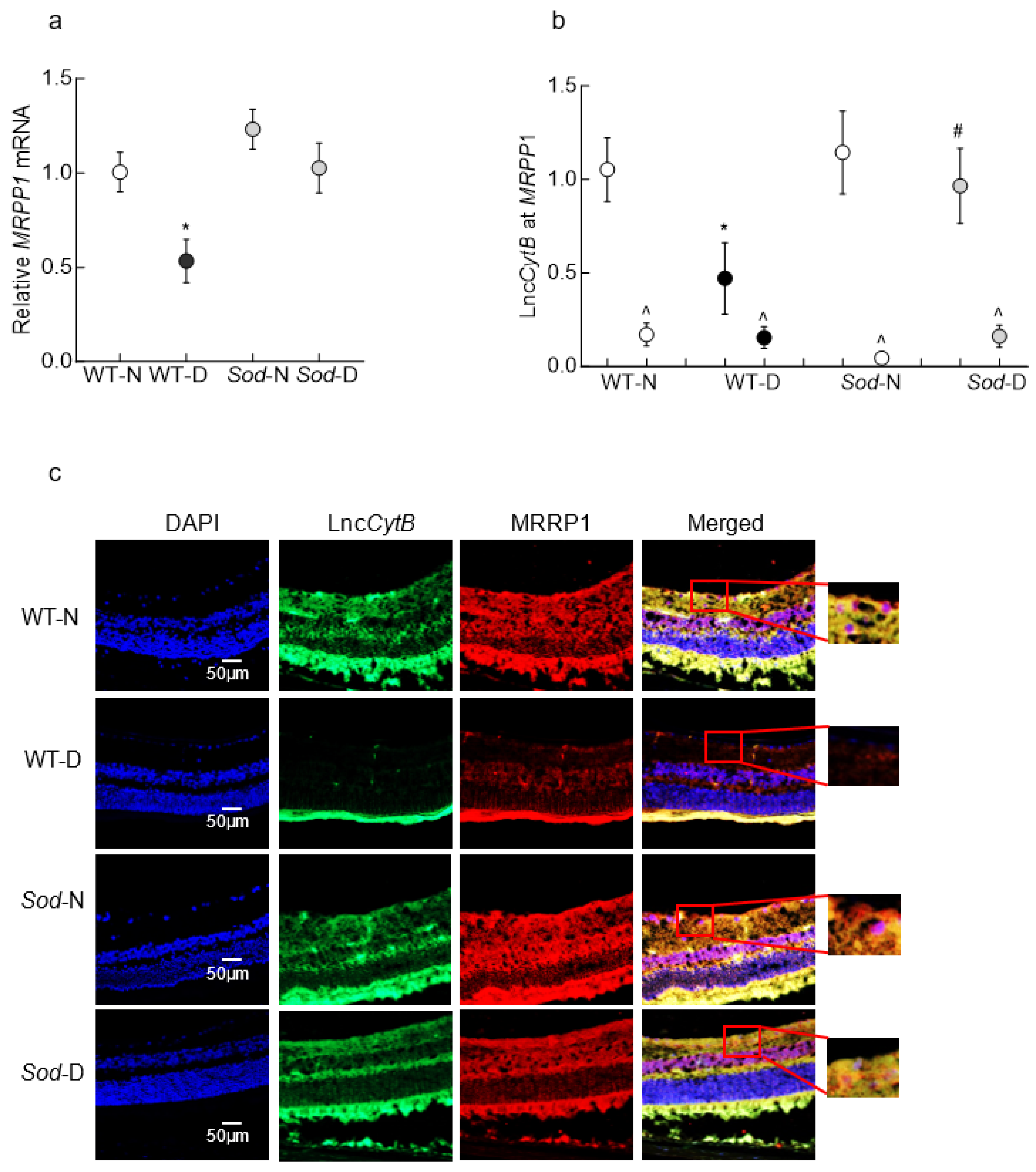 Biomedicines 12 01637 g006